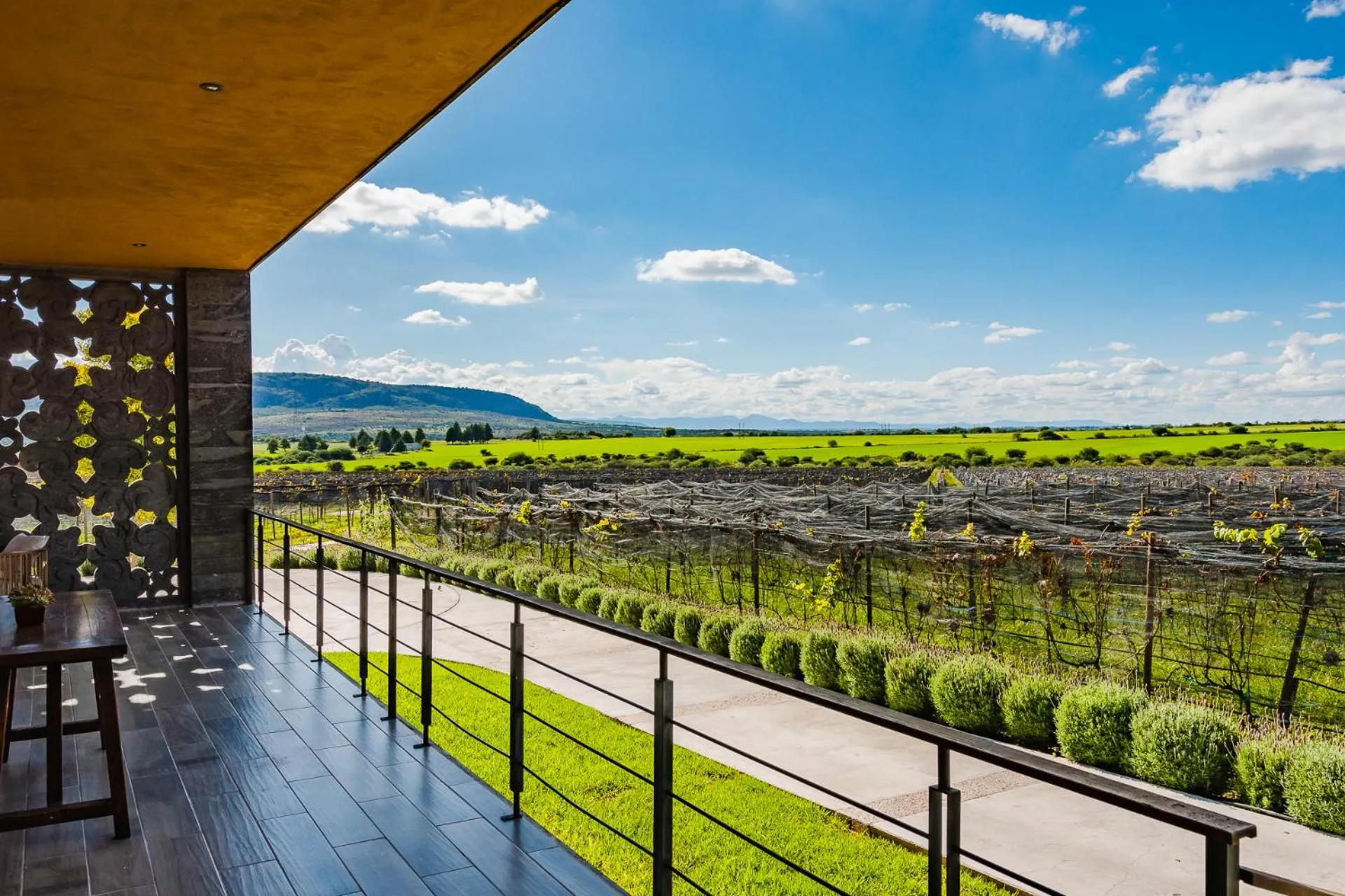 Balcony/Terrace in Casa Raíces Hotel Luxury & Viñedo