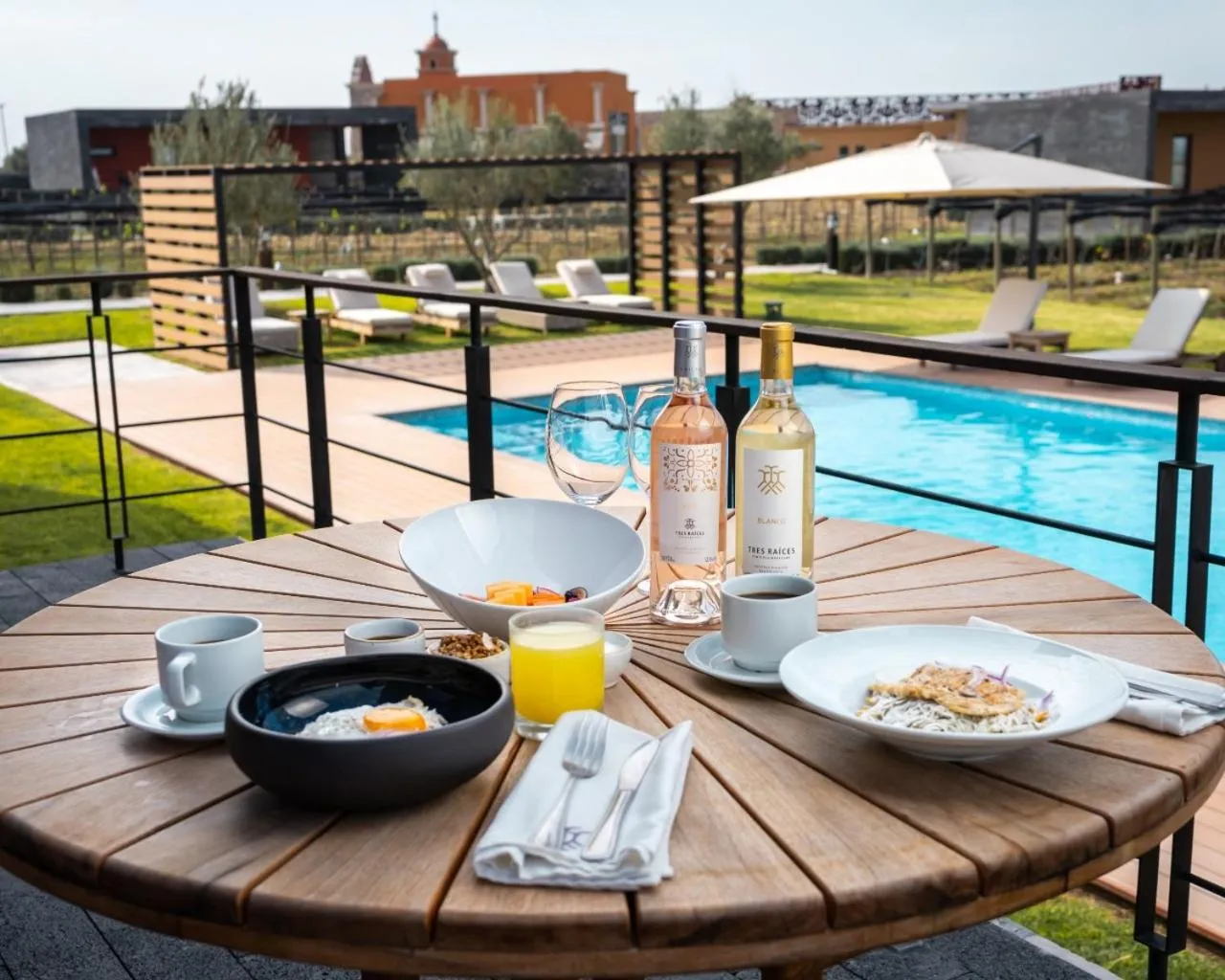 Pool view in Casa Raíces Hotel Luxury & Viñedo