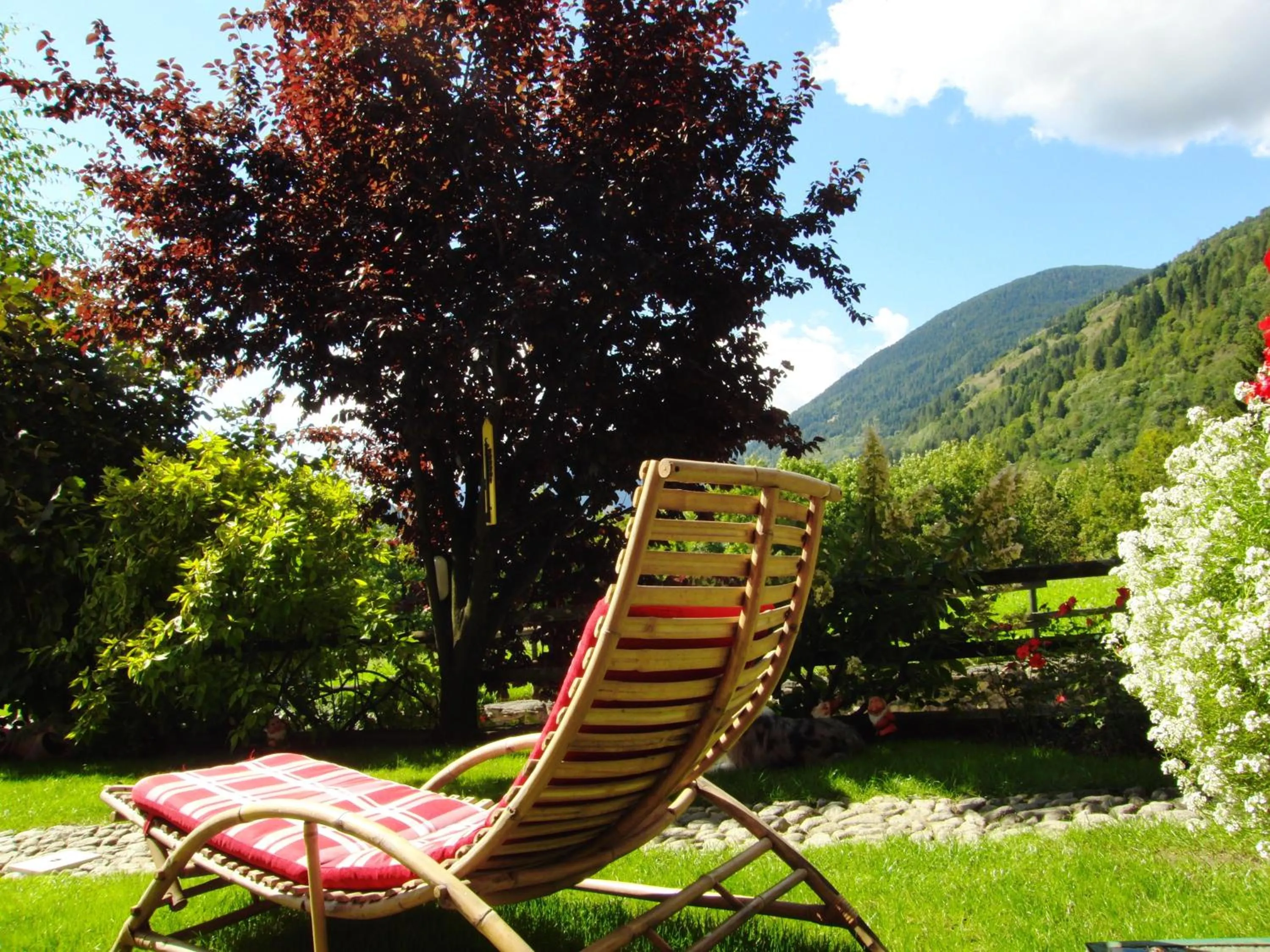 Garden in Animae Natura Hotel