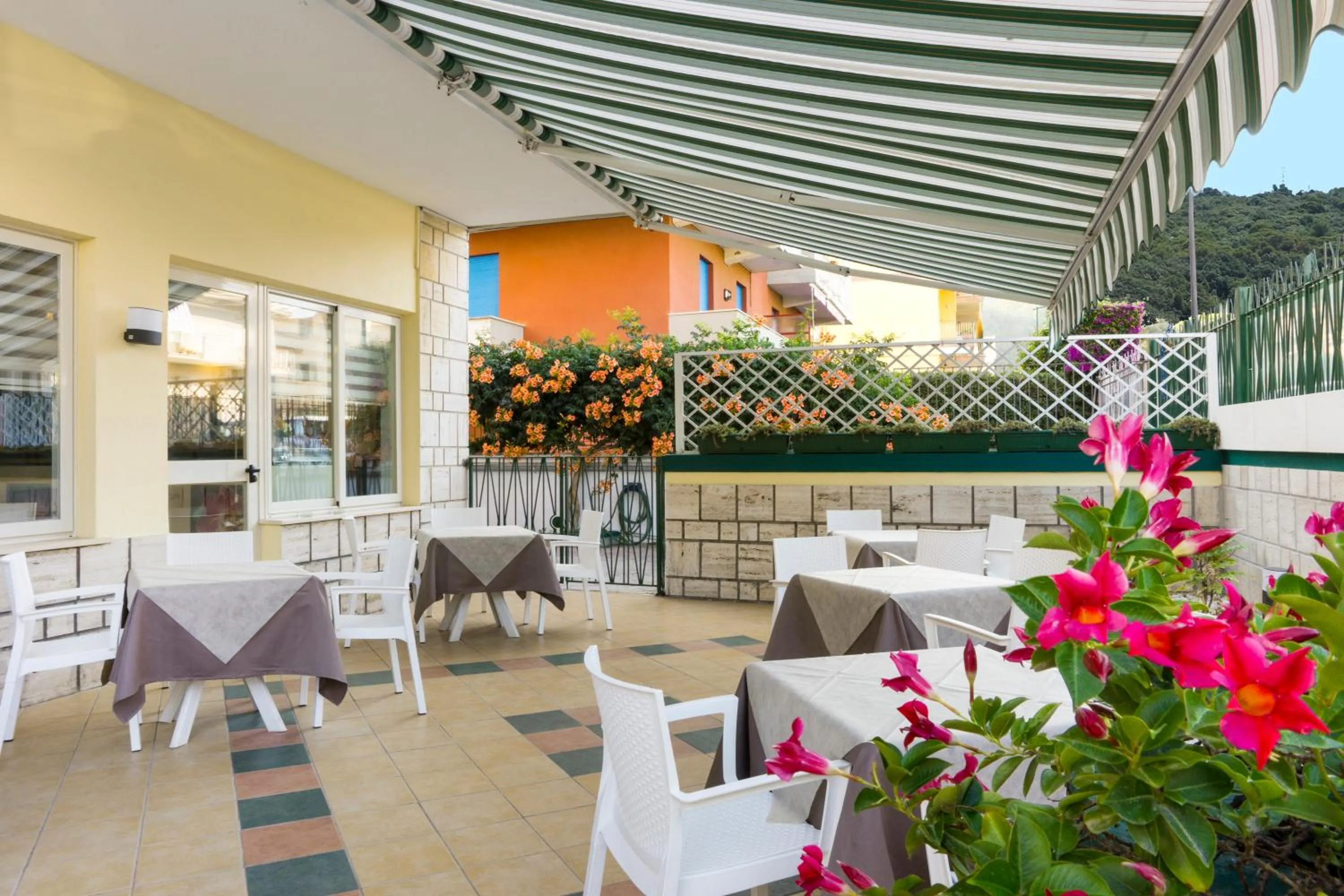 Garden in Hotel Viola