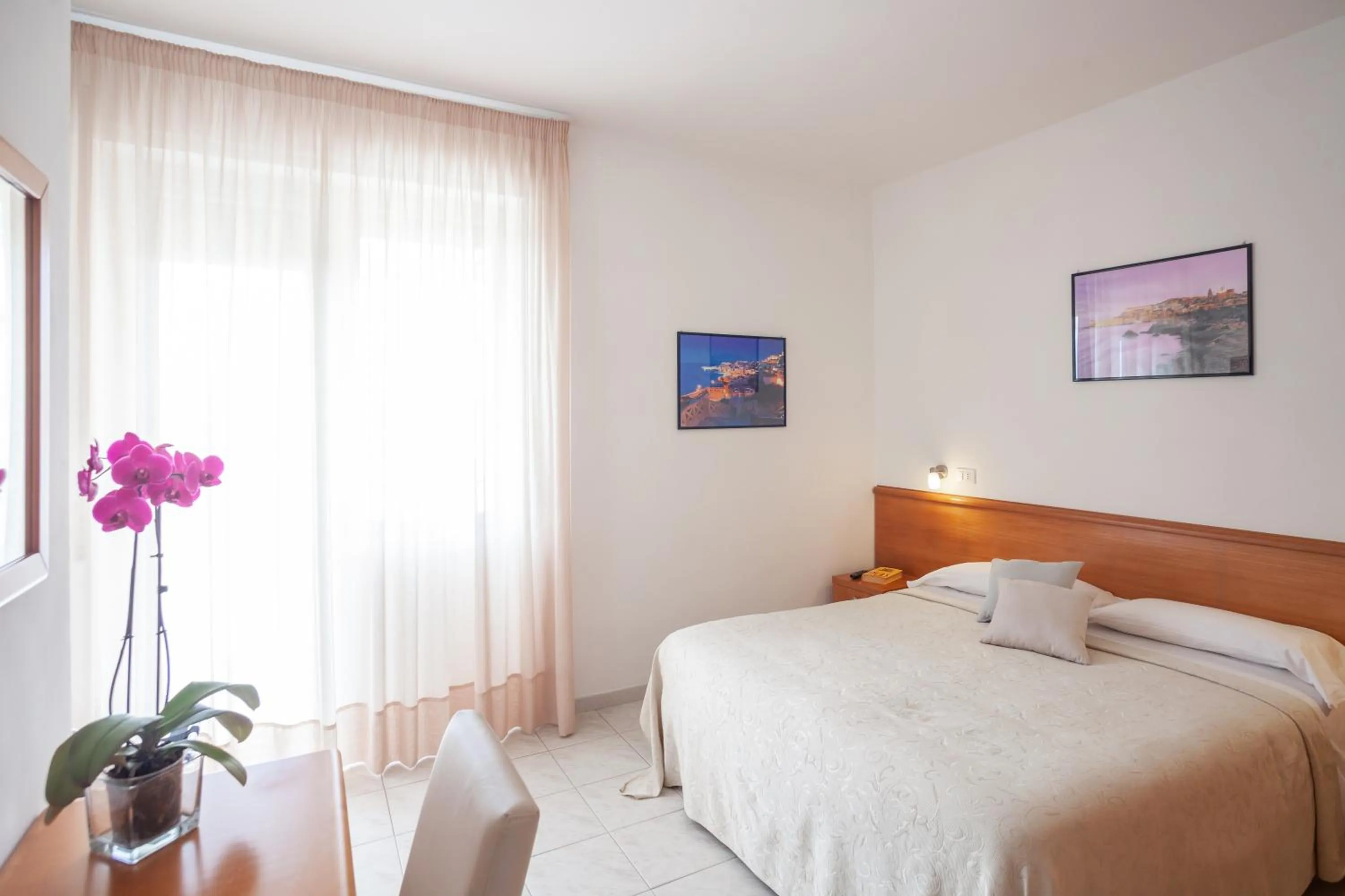 Photo of the whole room in Hotel Viola