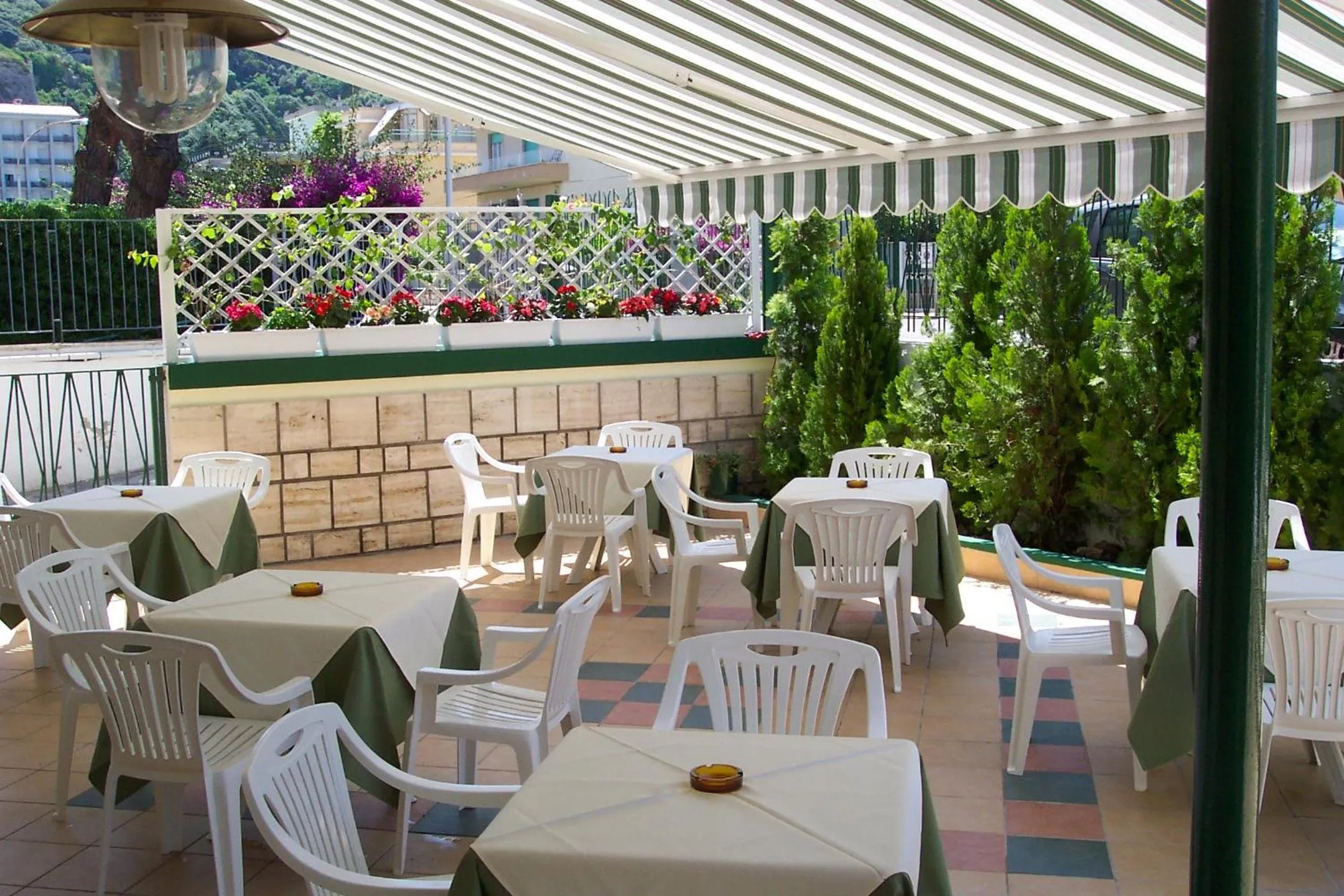 Garden in Hotel Viola