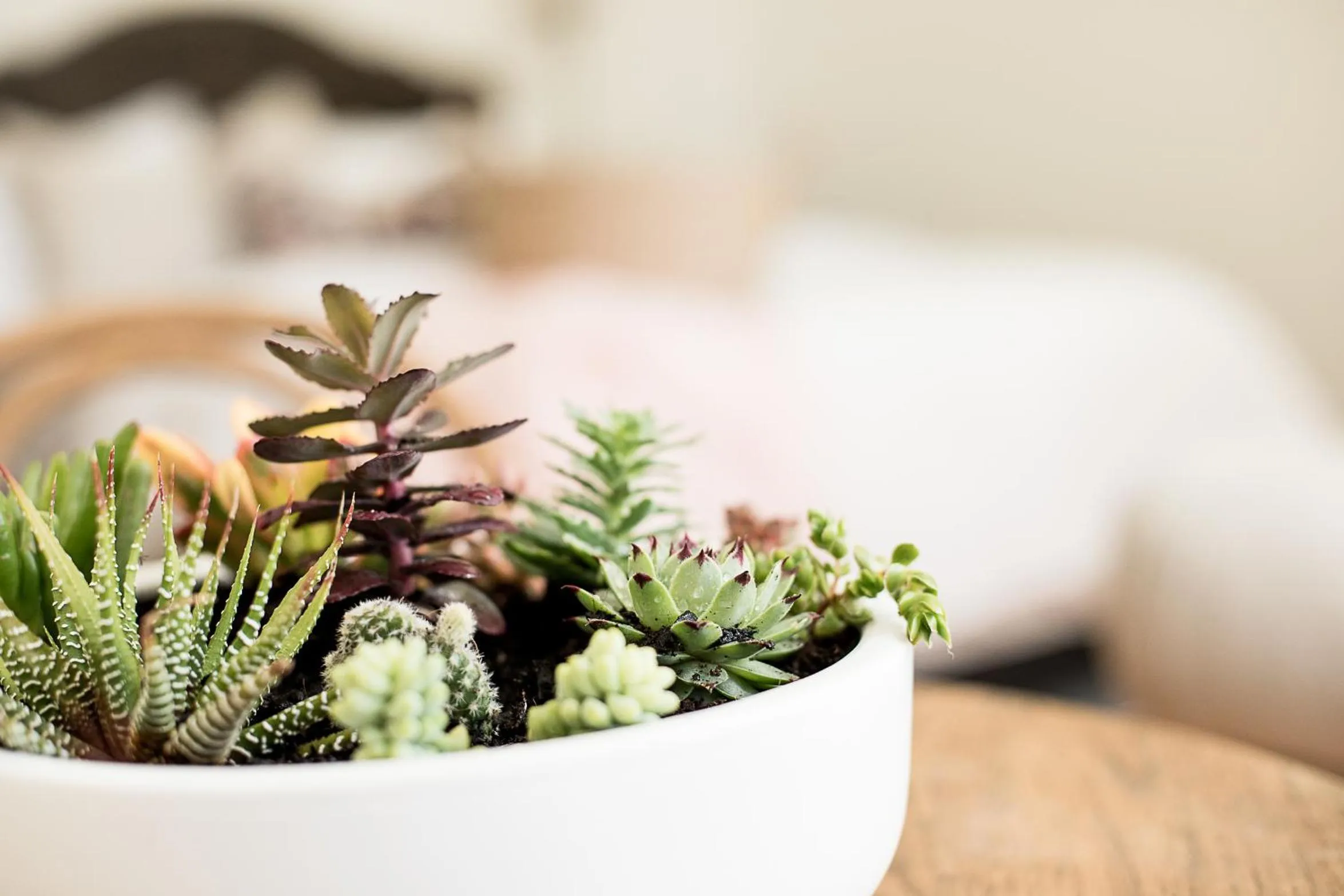 Decorative detail in Old Market Inn