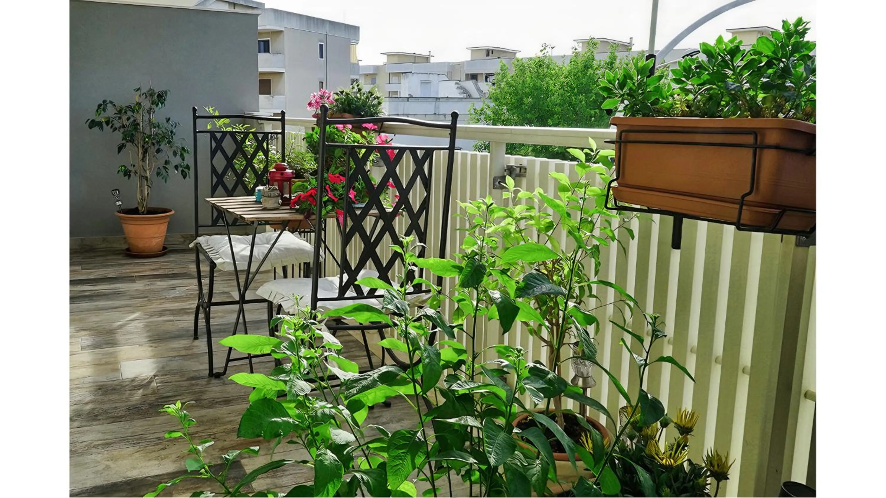 Balcony/Terrace in Rizzi Marianna B&B