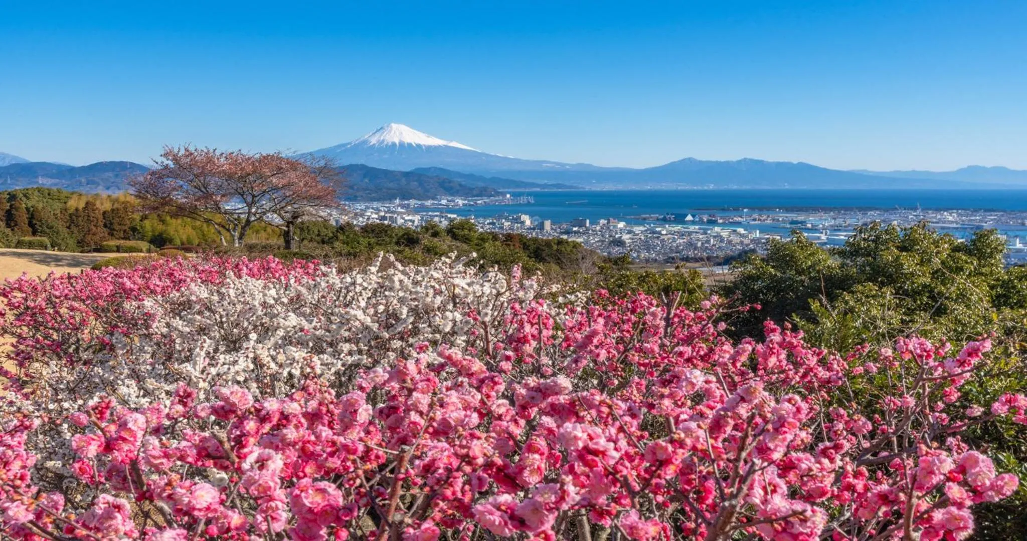 Nearby landmark in KAMENOI HOTEL Yaizu