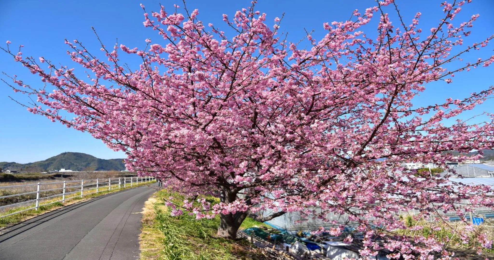 Nearby landmark in KAMENOI HOTEL Yaizu