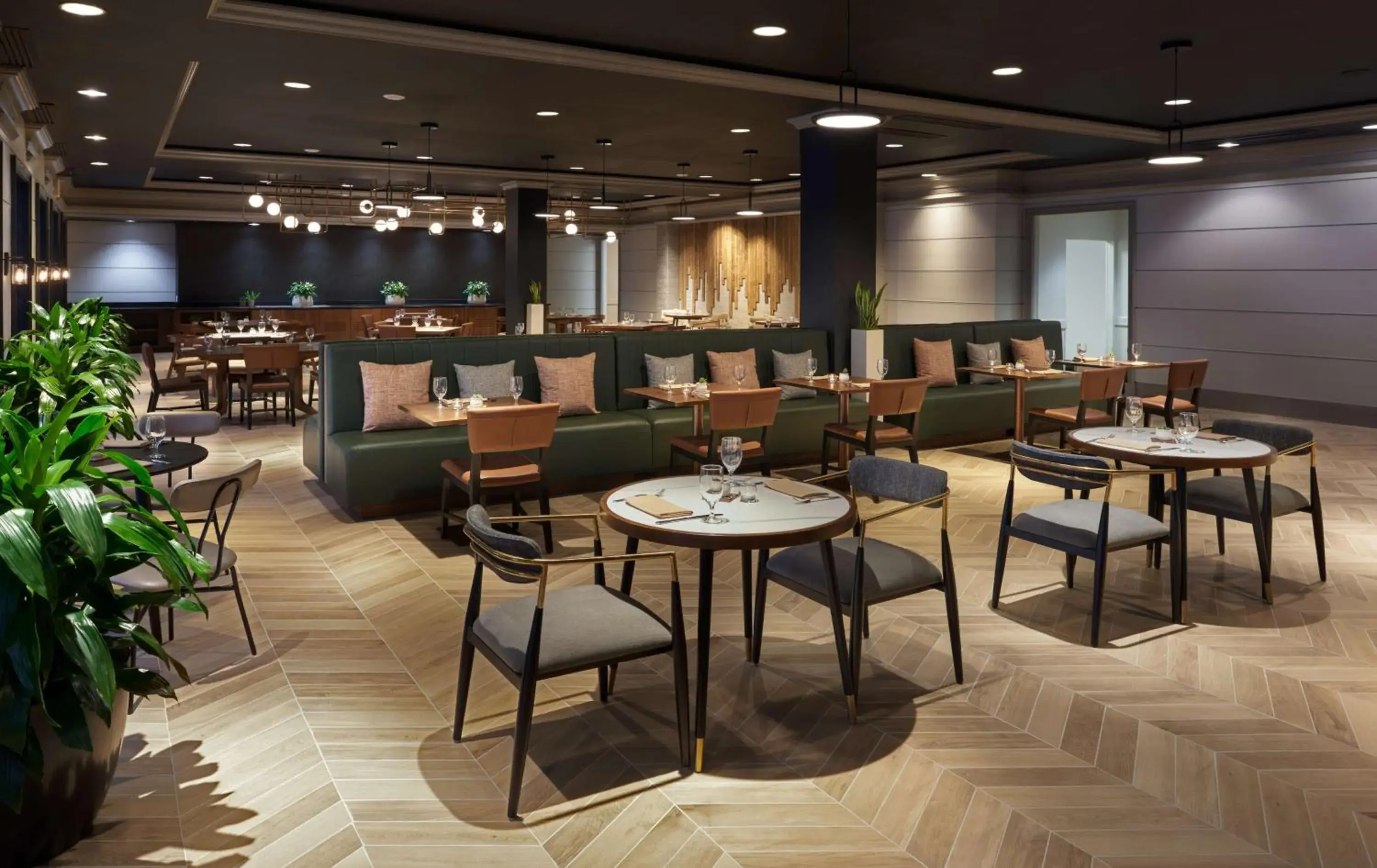 Restaurant/places to eat in The Chifley Houston, Tapestry Collection by Hilton Restaurant/places to eat in The Chifley Houston, Tapestry Collection by Hilton