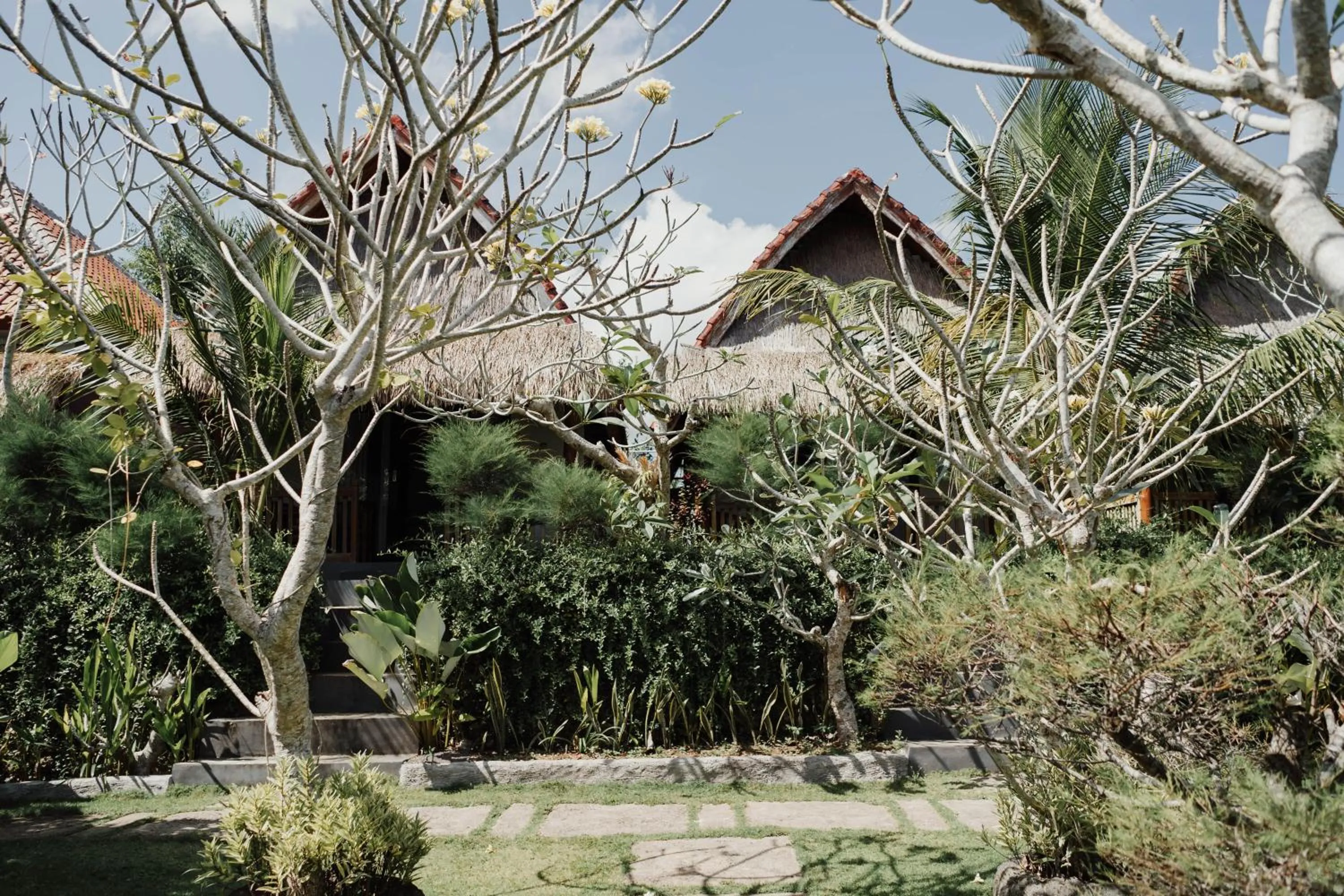 Spring in Temeling Jungle Inn