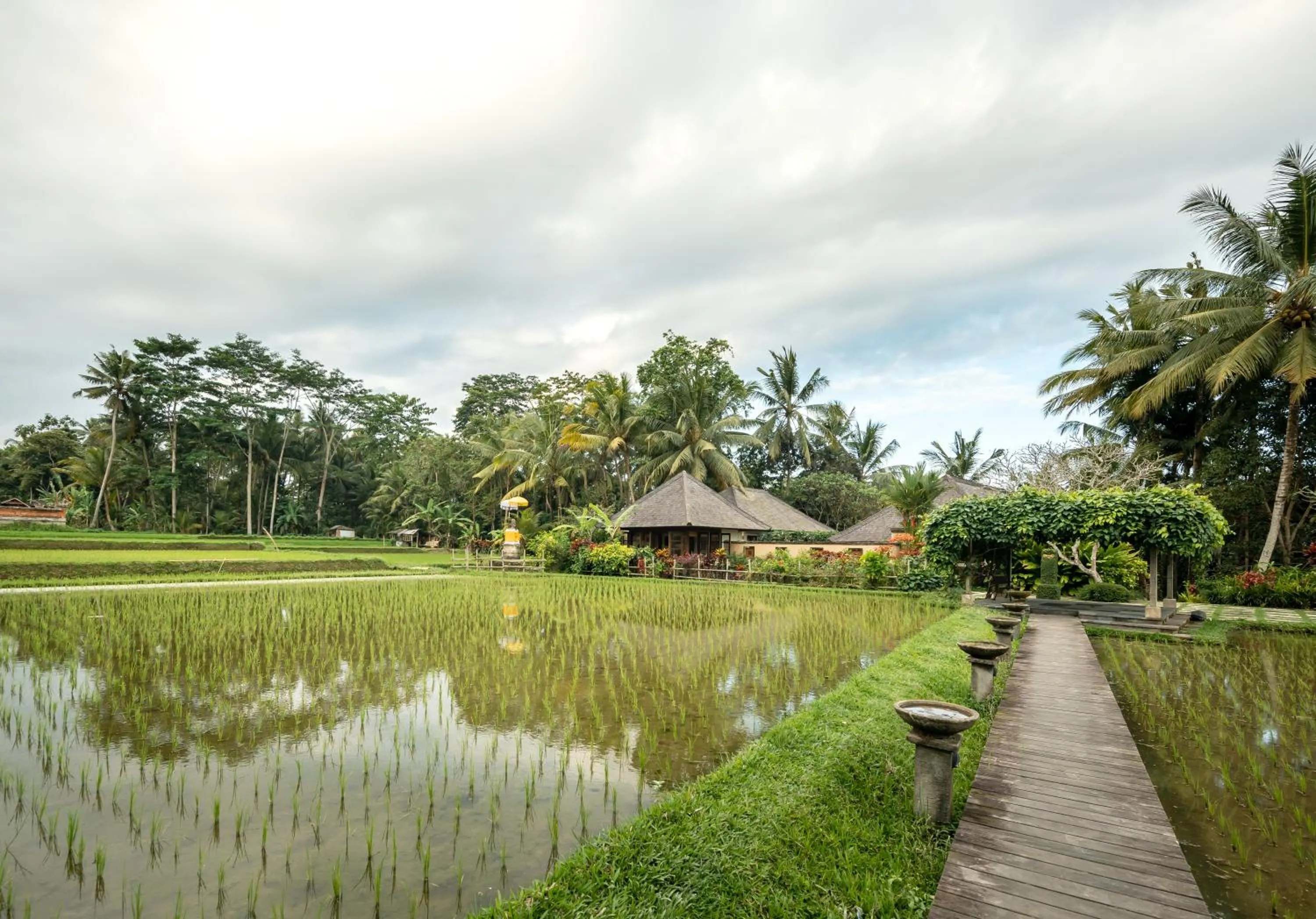 Natural landscape in Villa Vajra