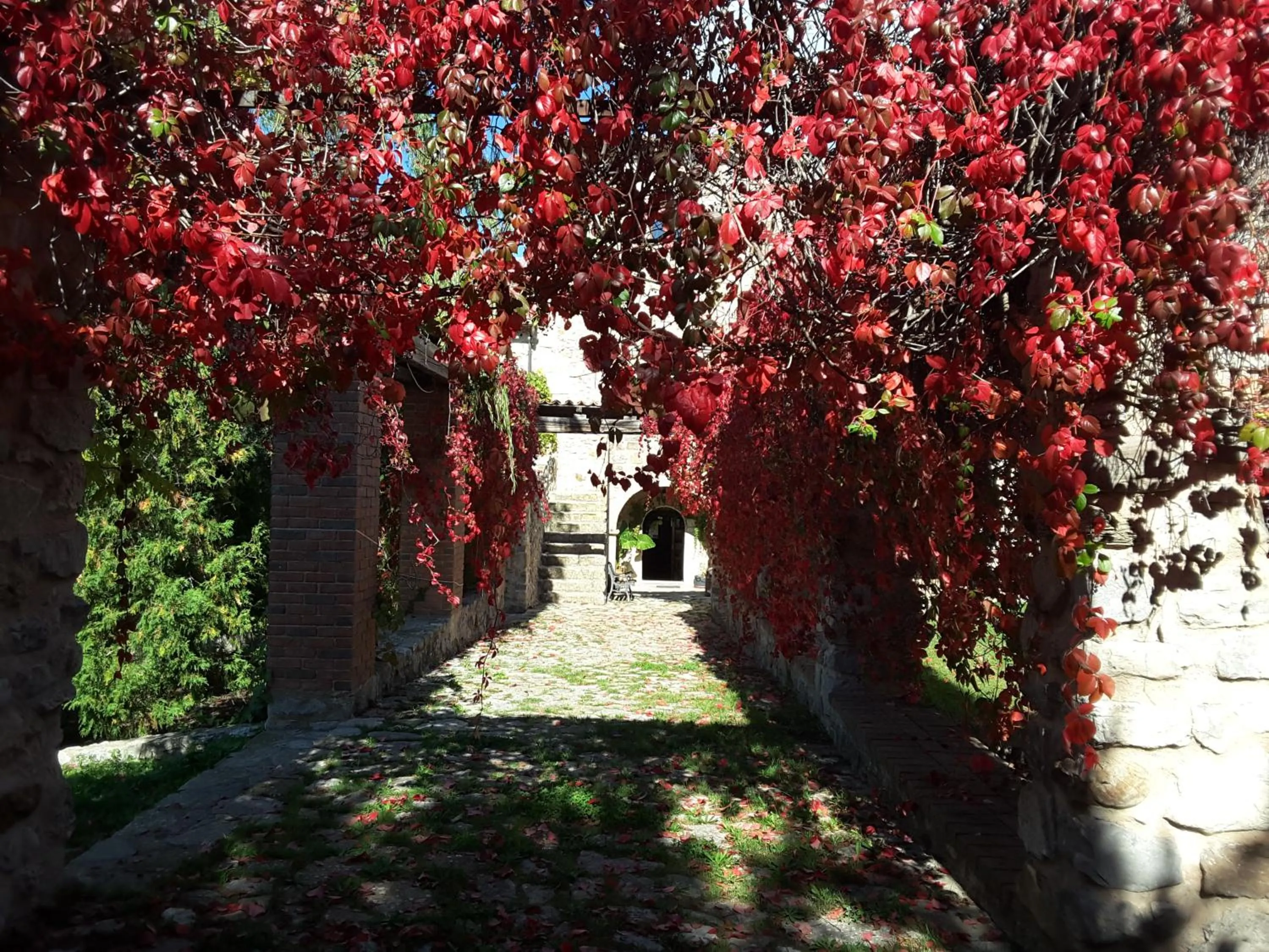 Giardino Donna Lavia
