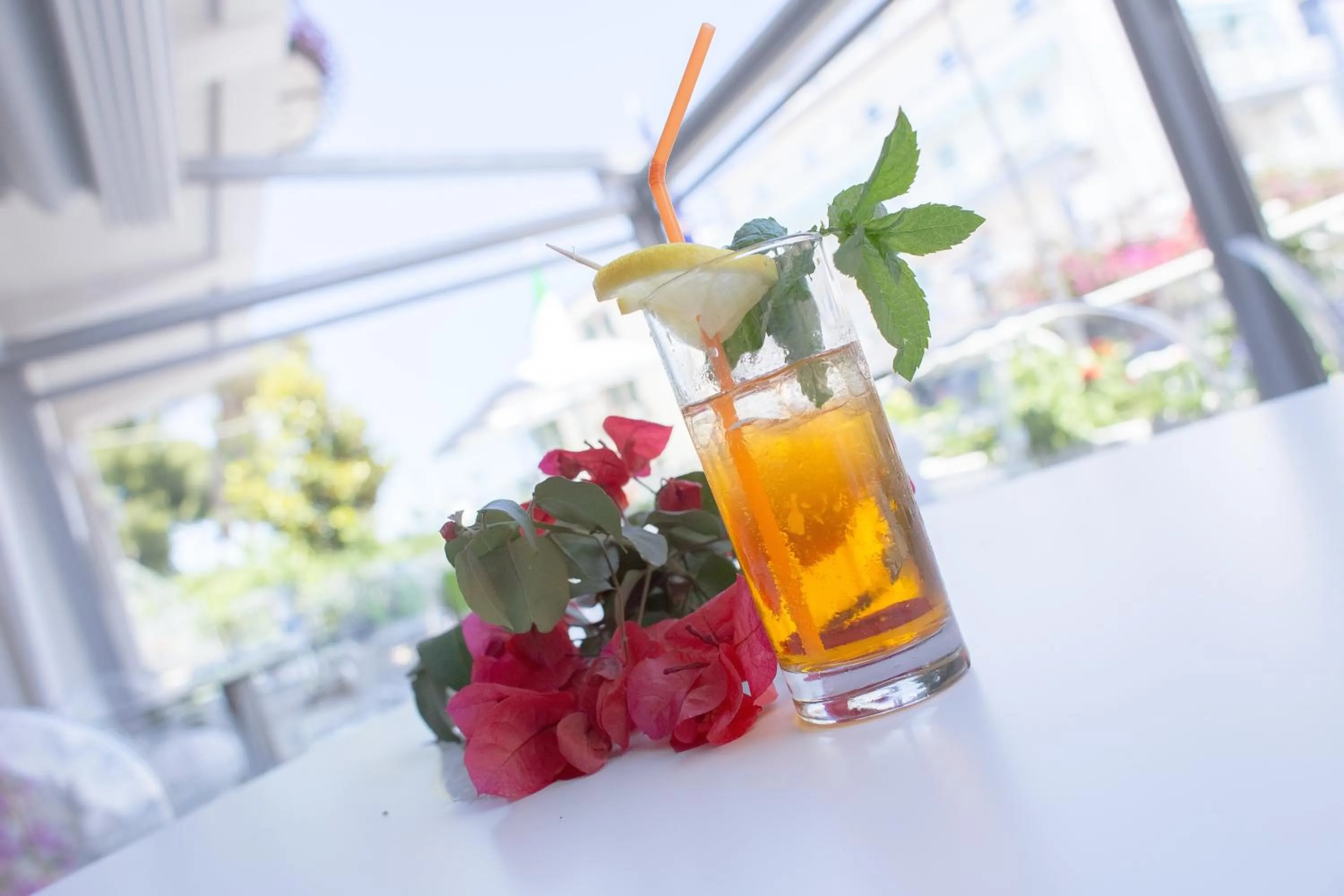 Lounge or bar in Hotel Venezia New