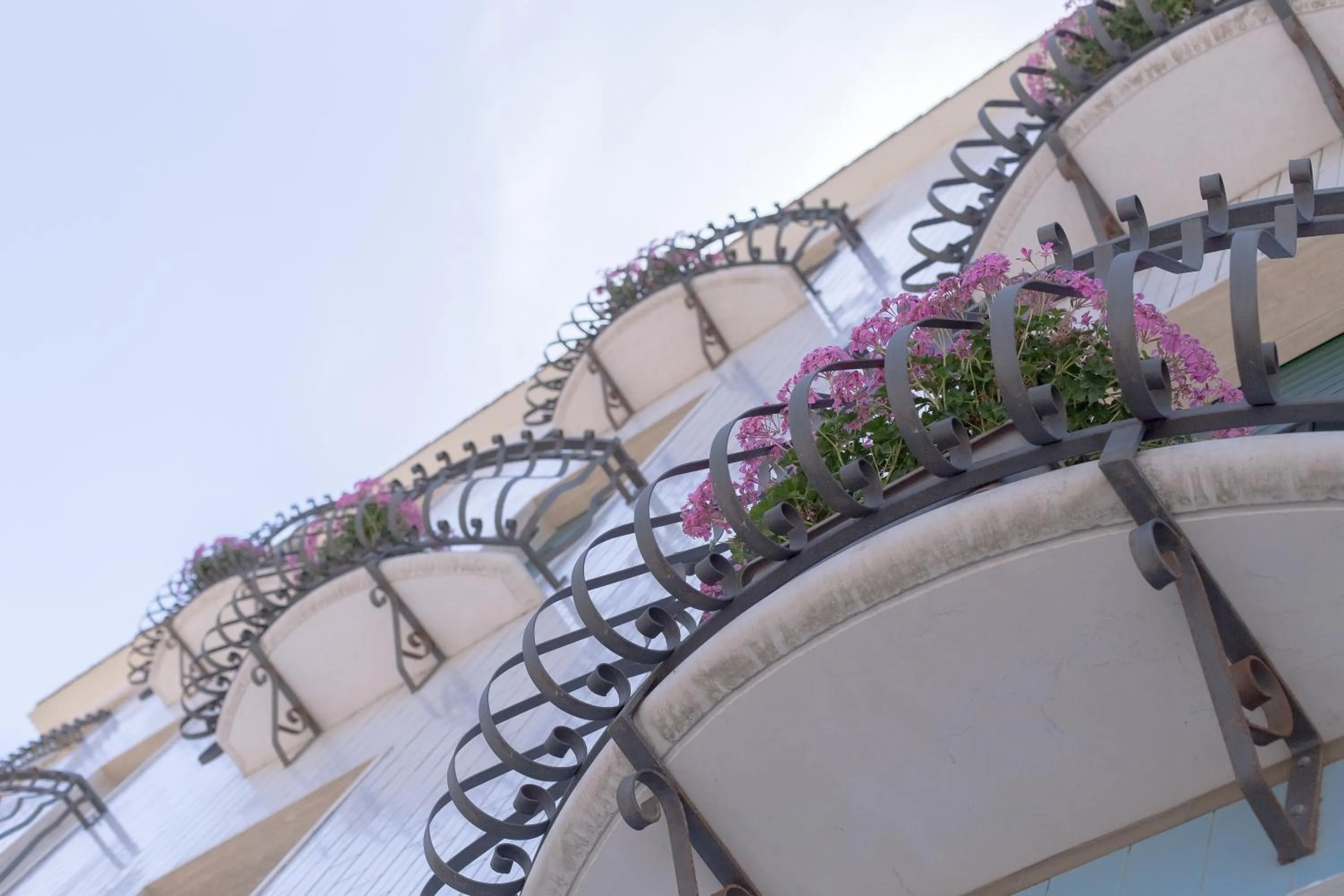 Day in Hotel Venezia New