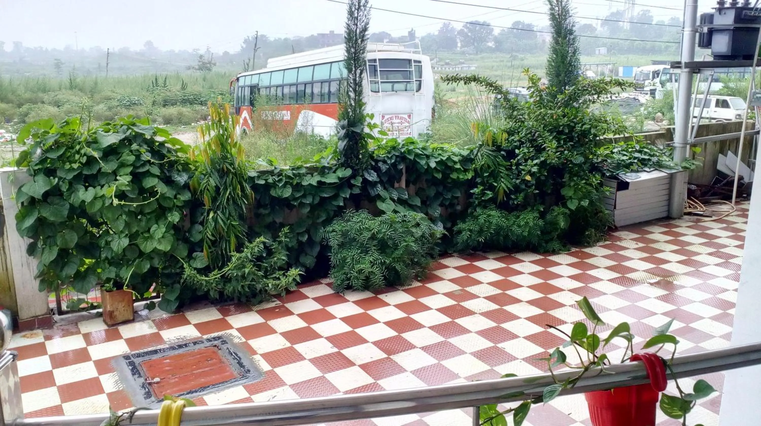 Garden view in Abrol residency