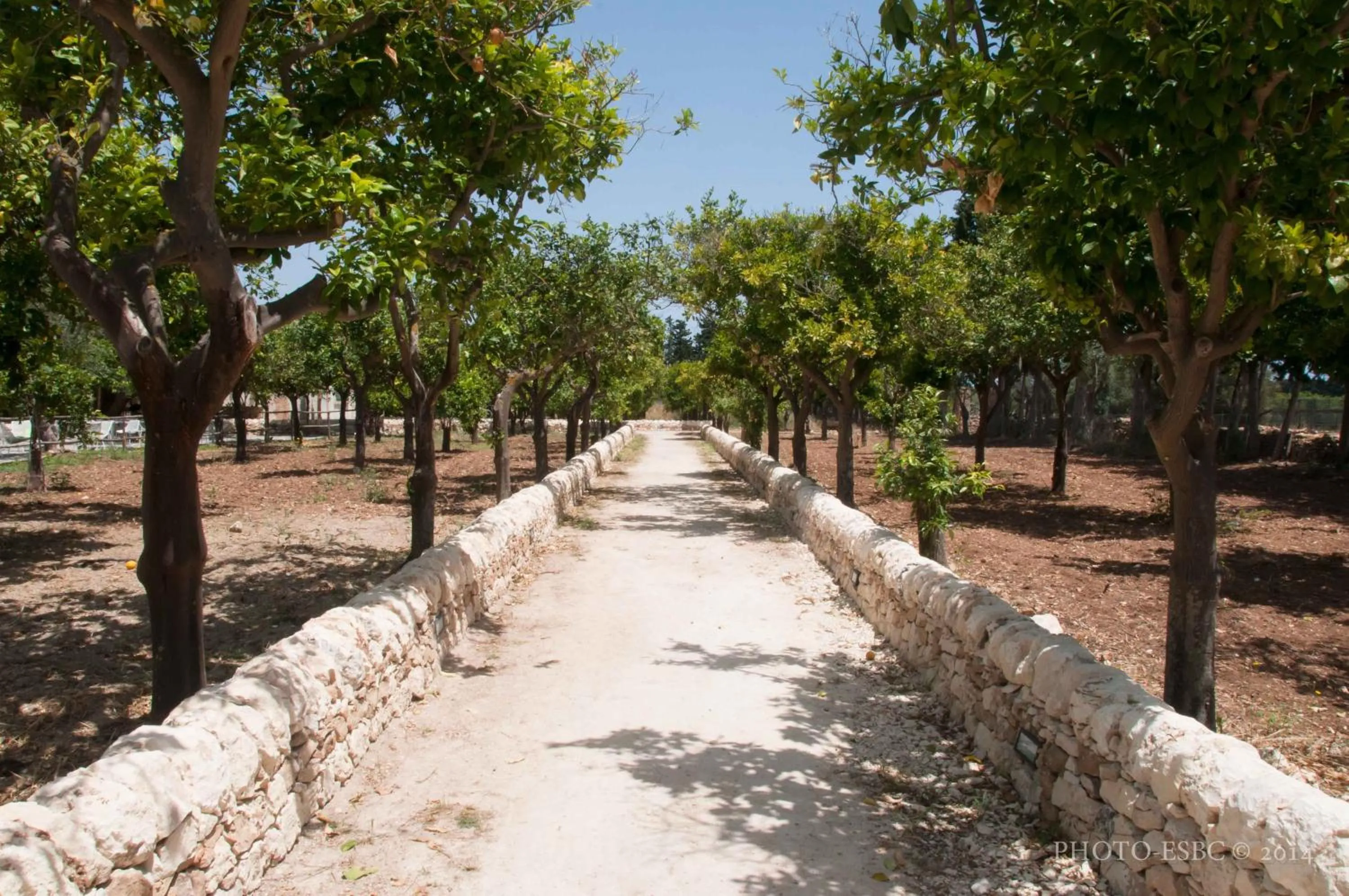 Area and facilities in Baglio Siciliamo Country House
