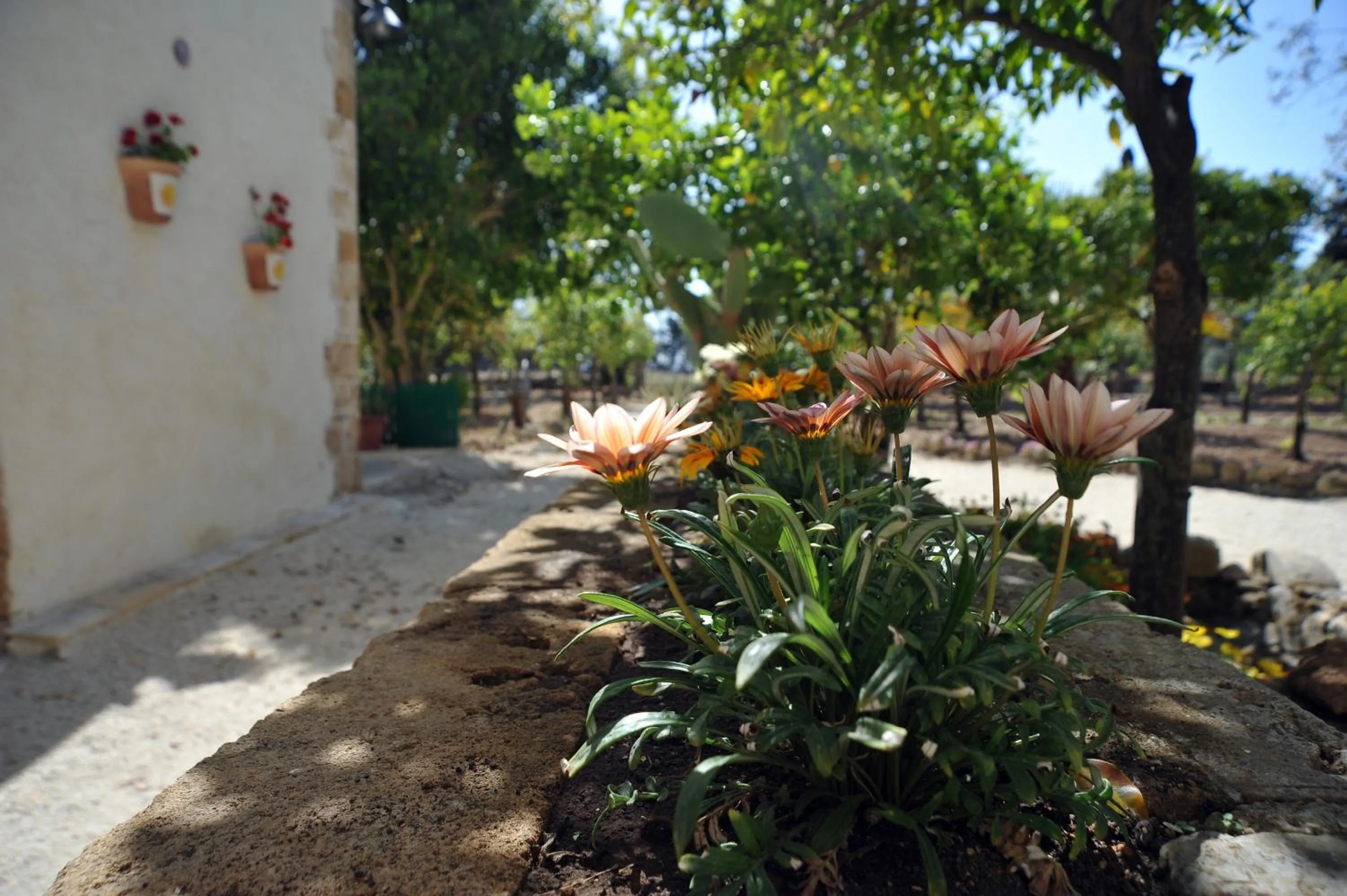 Facade/entrance in Baglio Siciliamo Country House