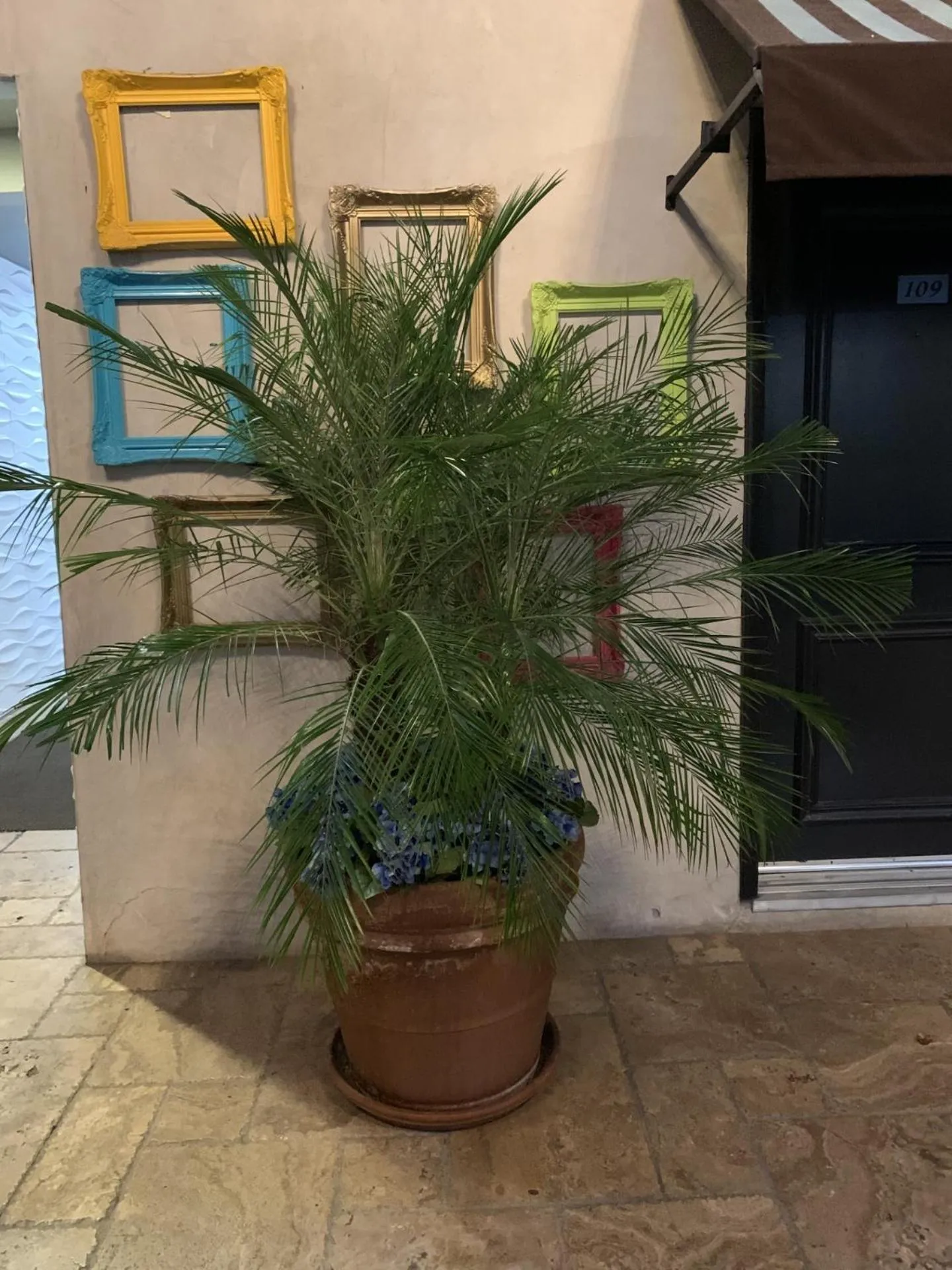 Inner courtyard view in L.A. Sky Boutique Hotel