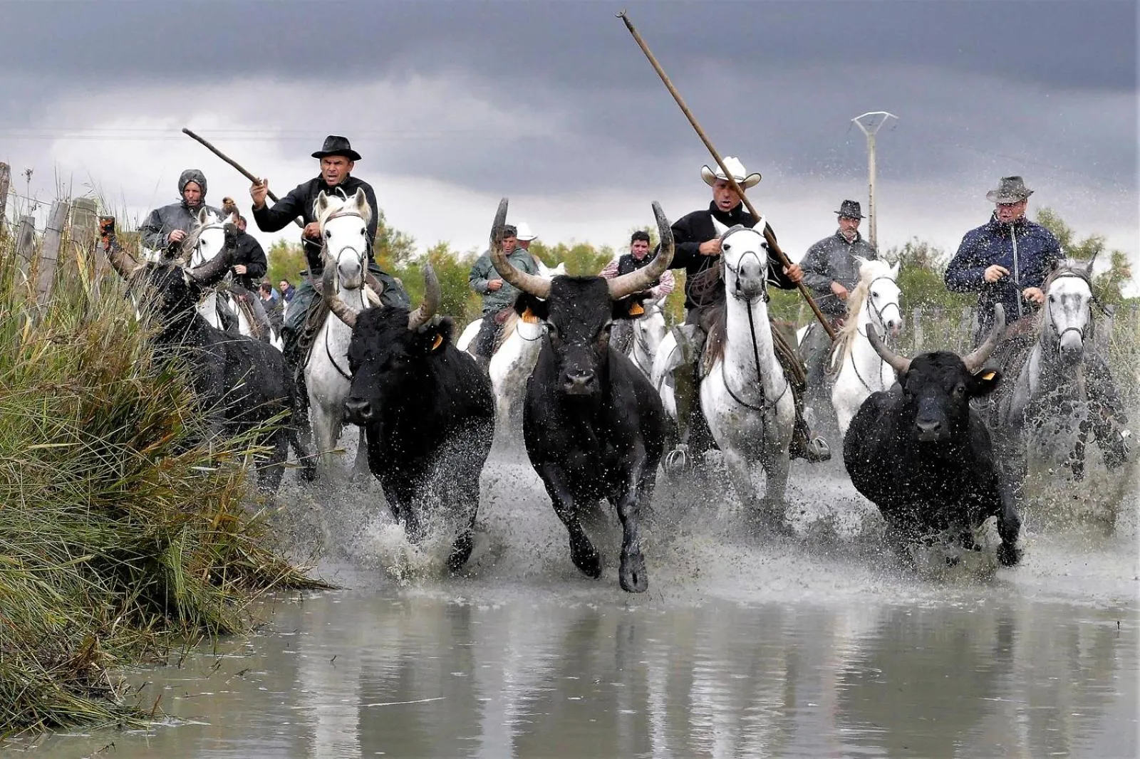 chambre d'hotes les cigales