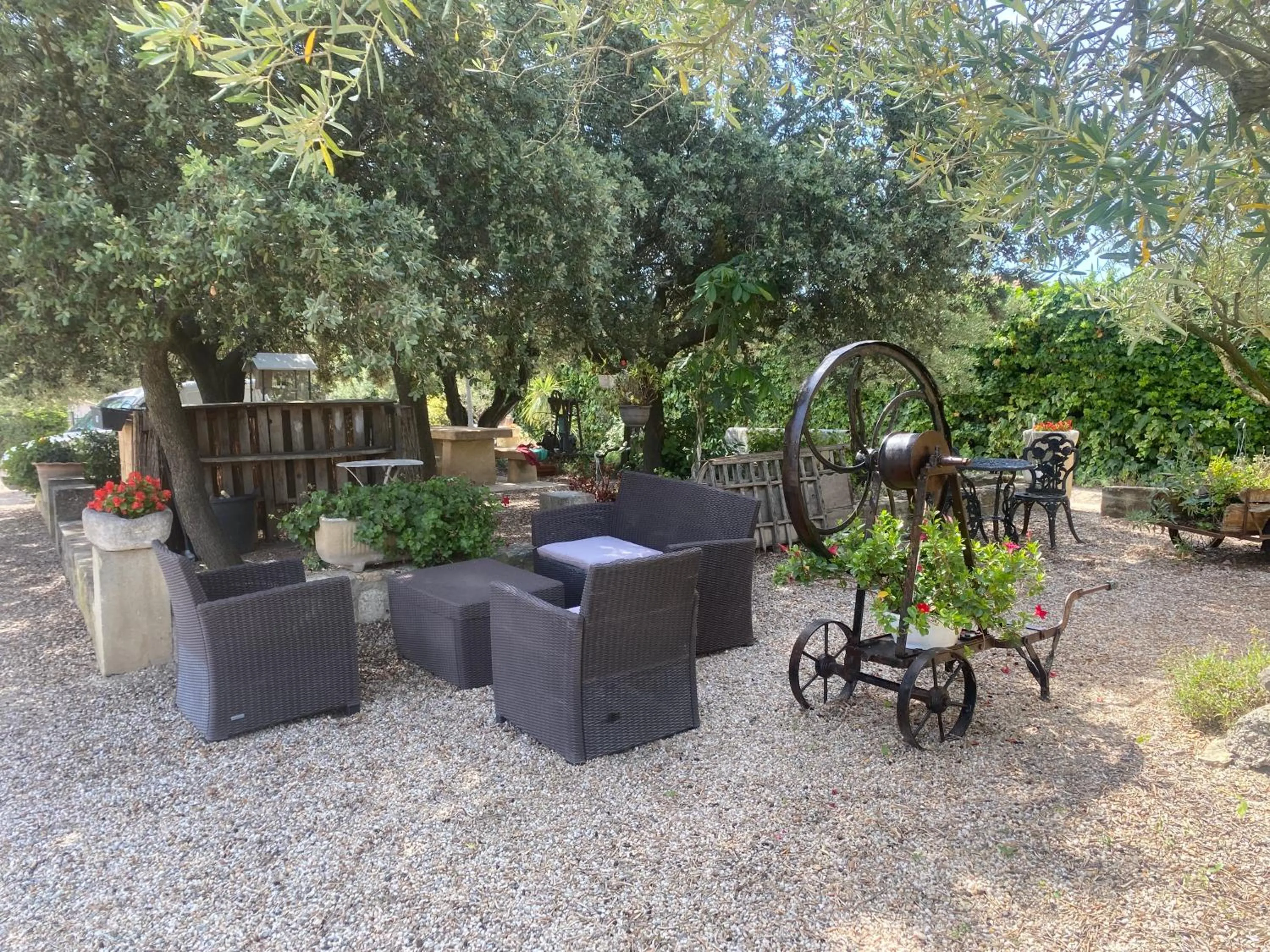 Garden in chambre d'hotes les cigales