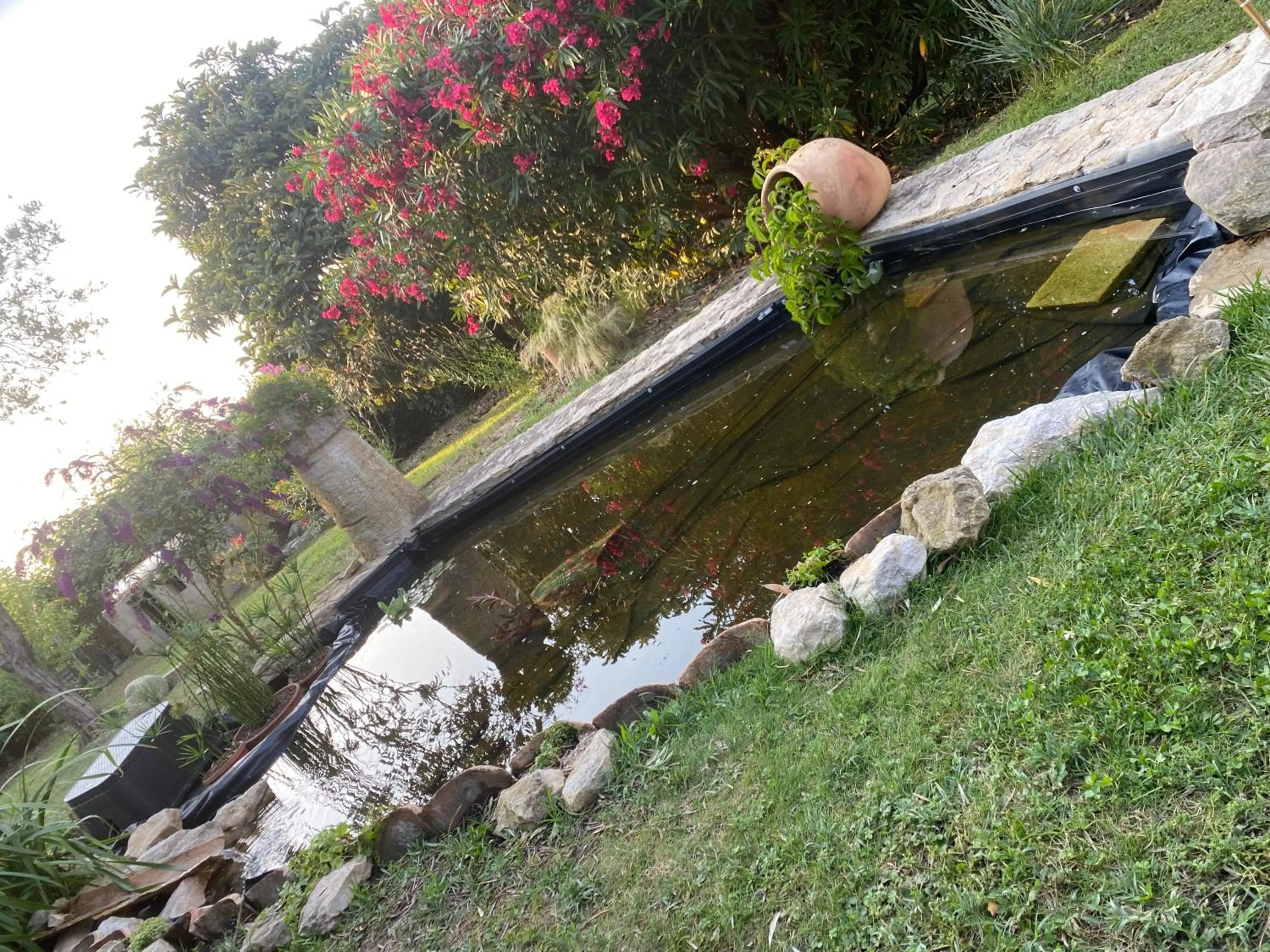 Garden in chambre d'hotes les cigales