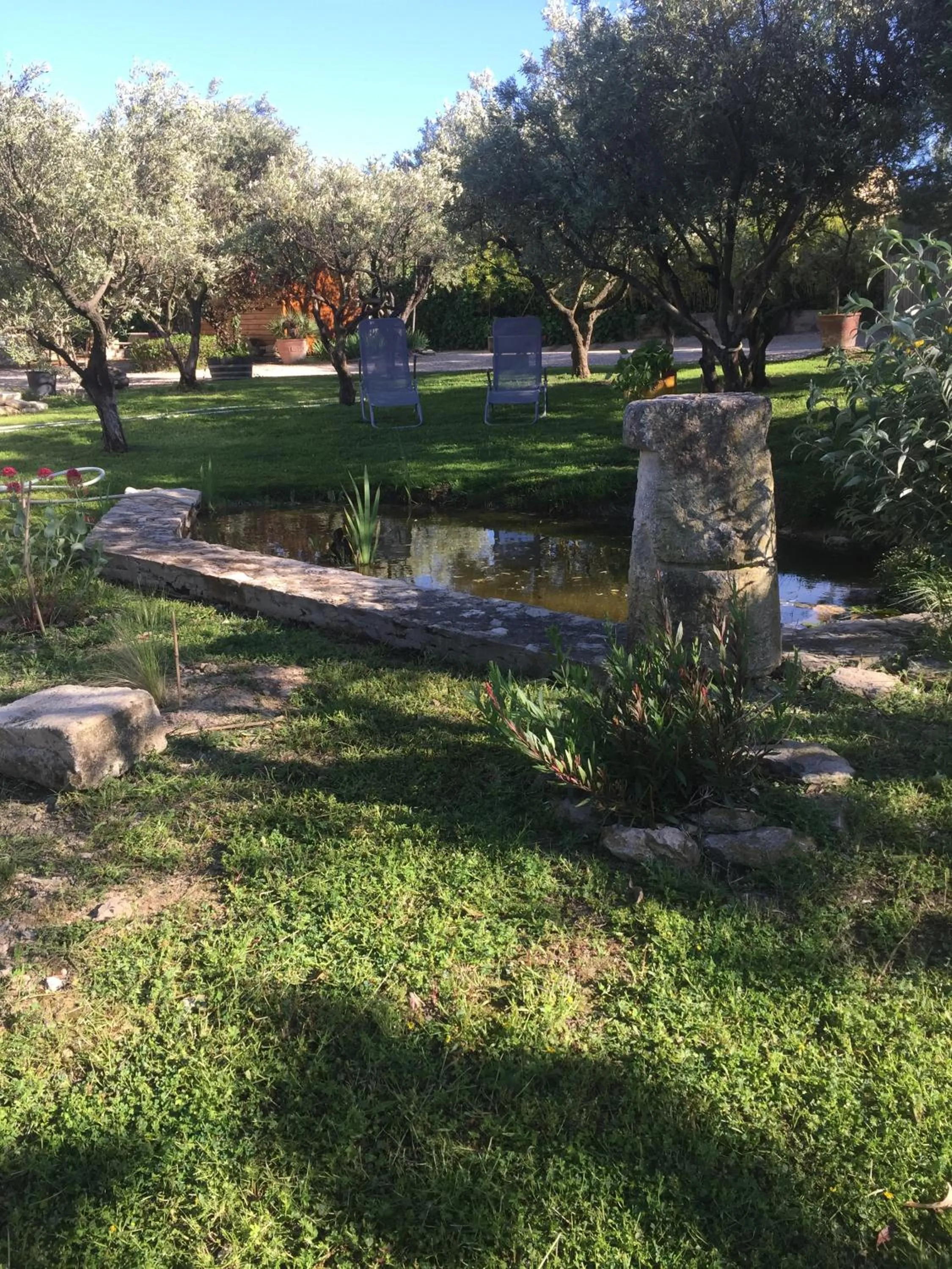Garden in chambre d'hotes les cigales