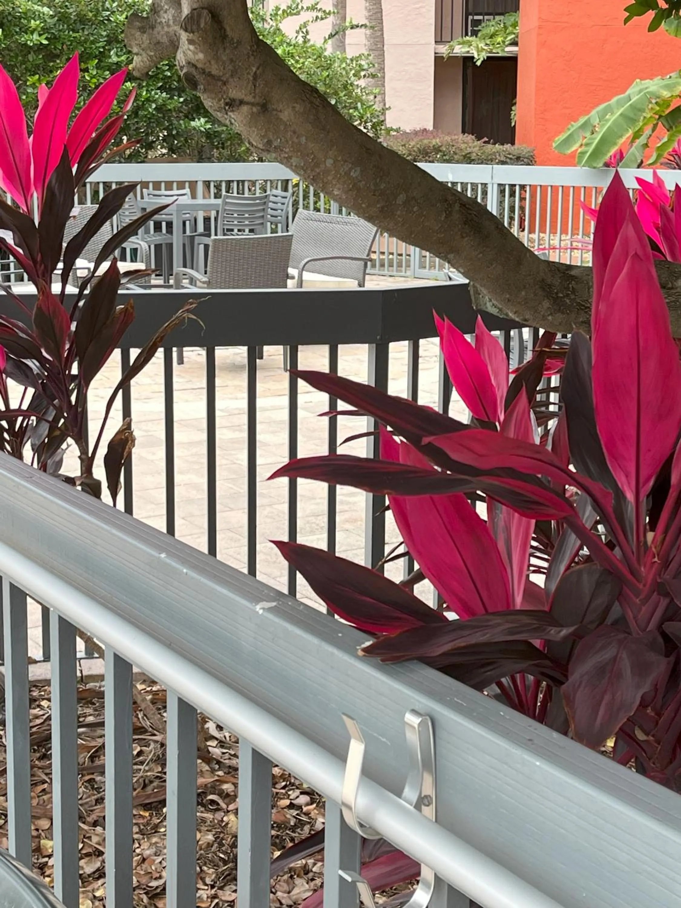 Swimming pool in Grand Hotel Orlando at Universal Blvd - Shuttle to Theme Parks