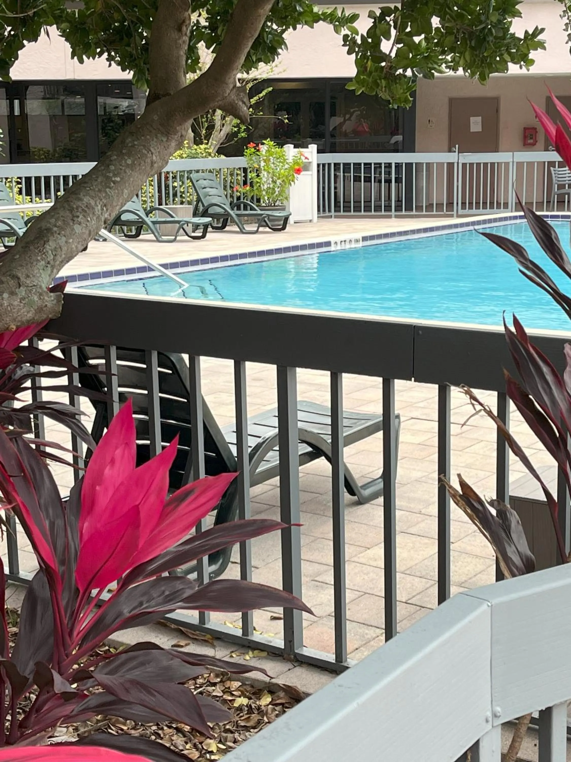 Swimming pool in Grand Hotel Orlando at Universal Blvd - Shuttle to Theme Parks