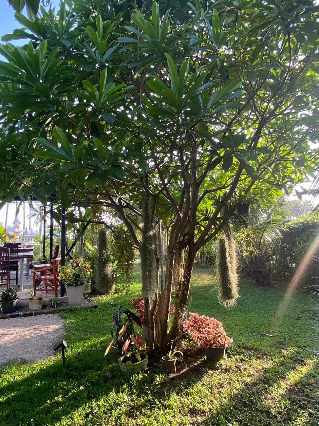 Garden in Phangan Hometown Resort - Adults Only