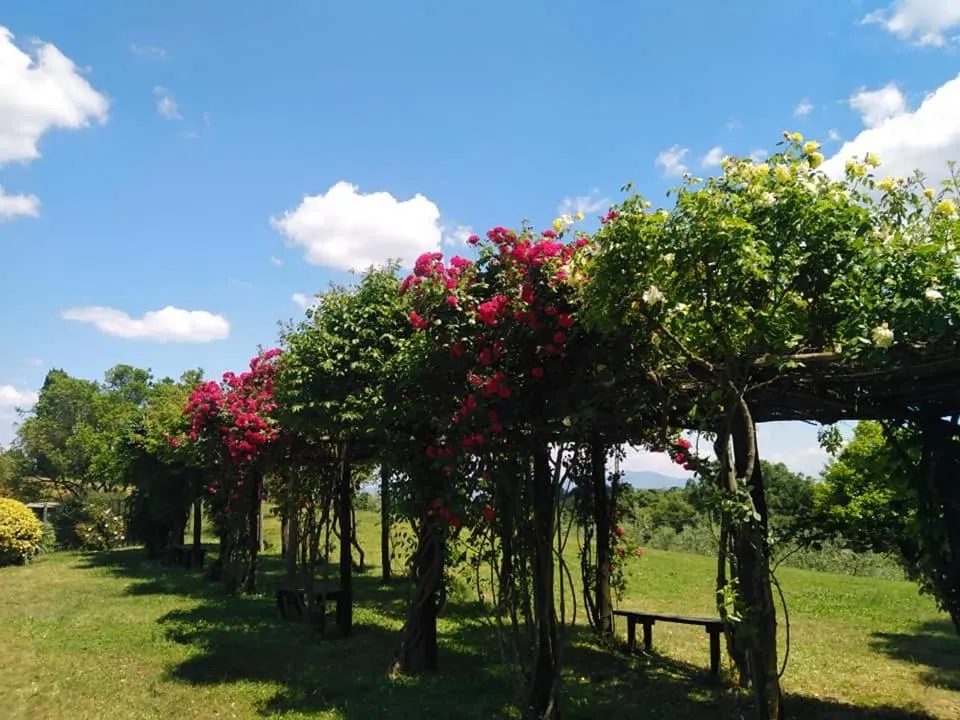 Spring in Locanda Rosati