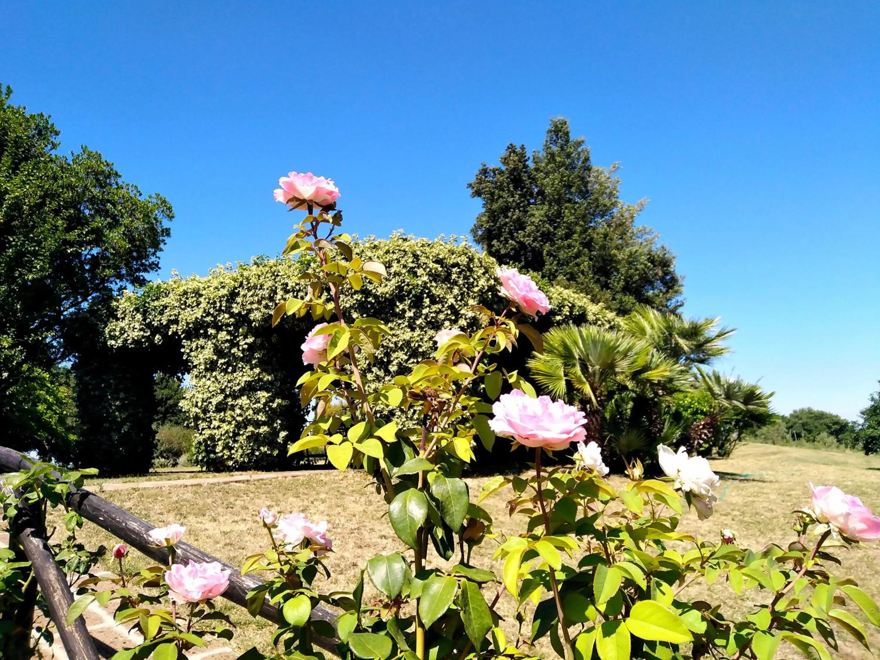 Garden view in Locanda Rosati