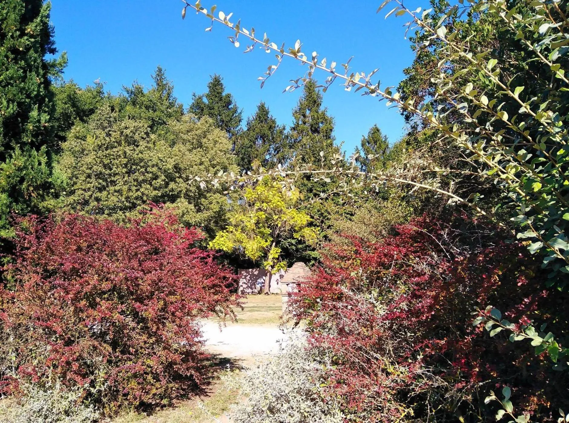 Natural landscape in Locanda Rosati