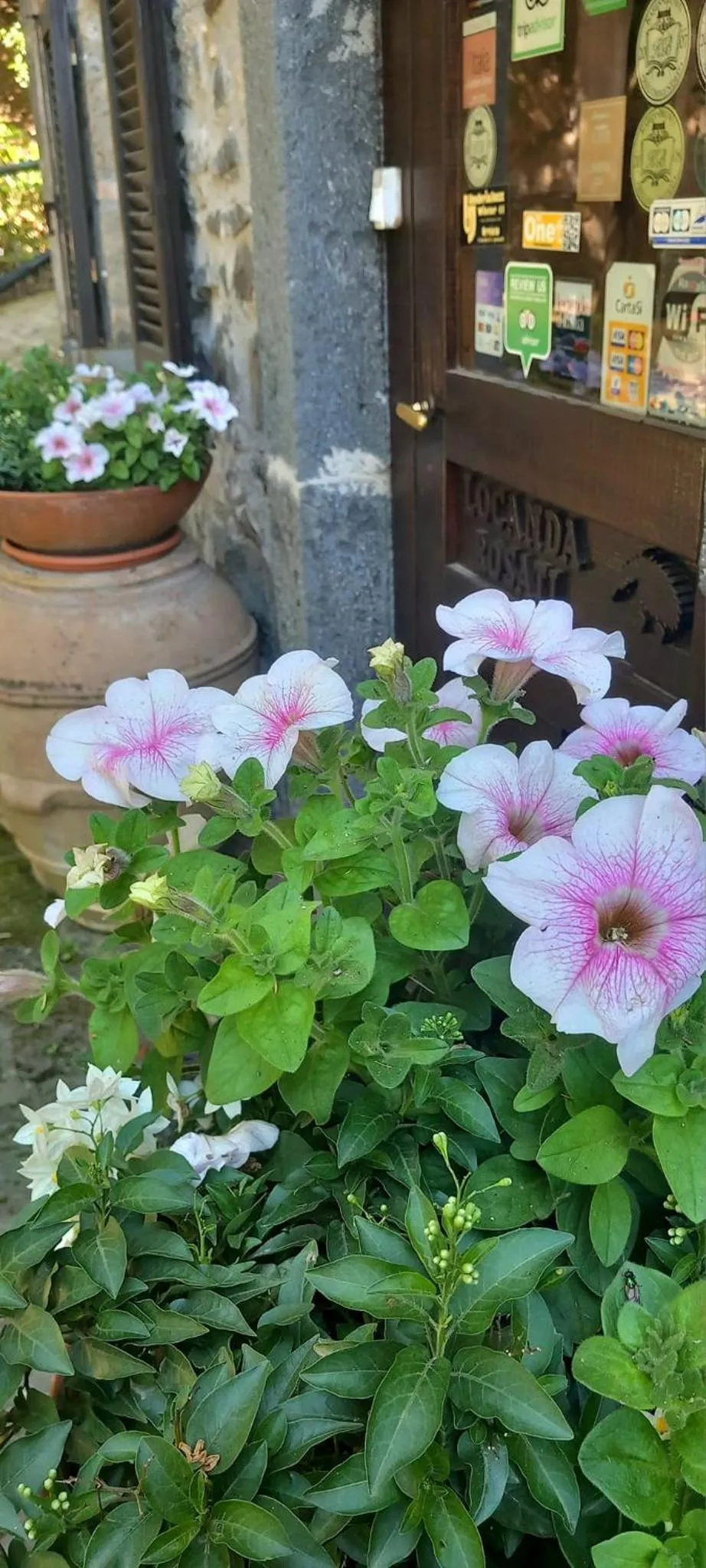 Spring in Locanda Rosati
