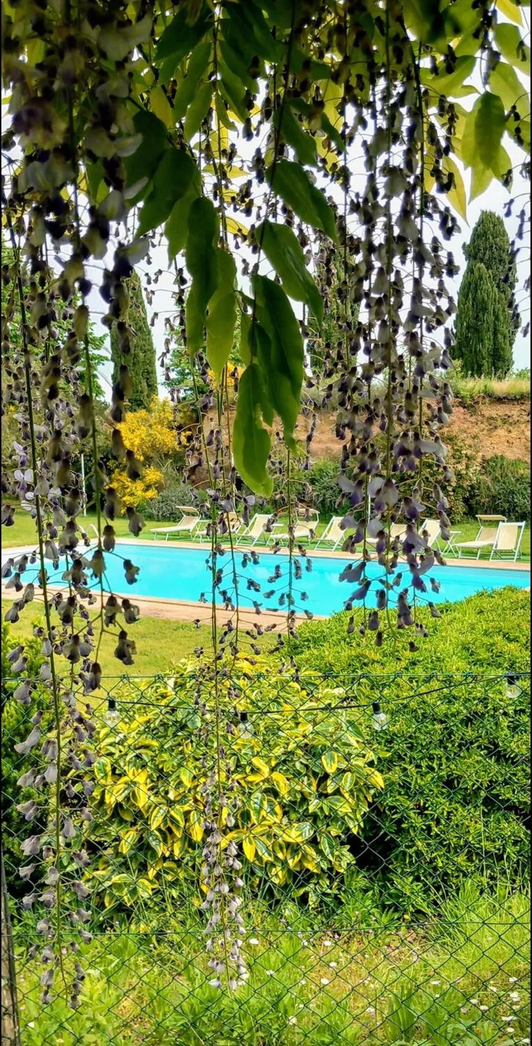 Natural landscape in Locanda Rosati