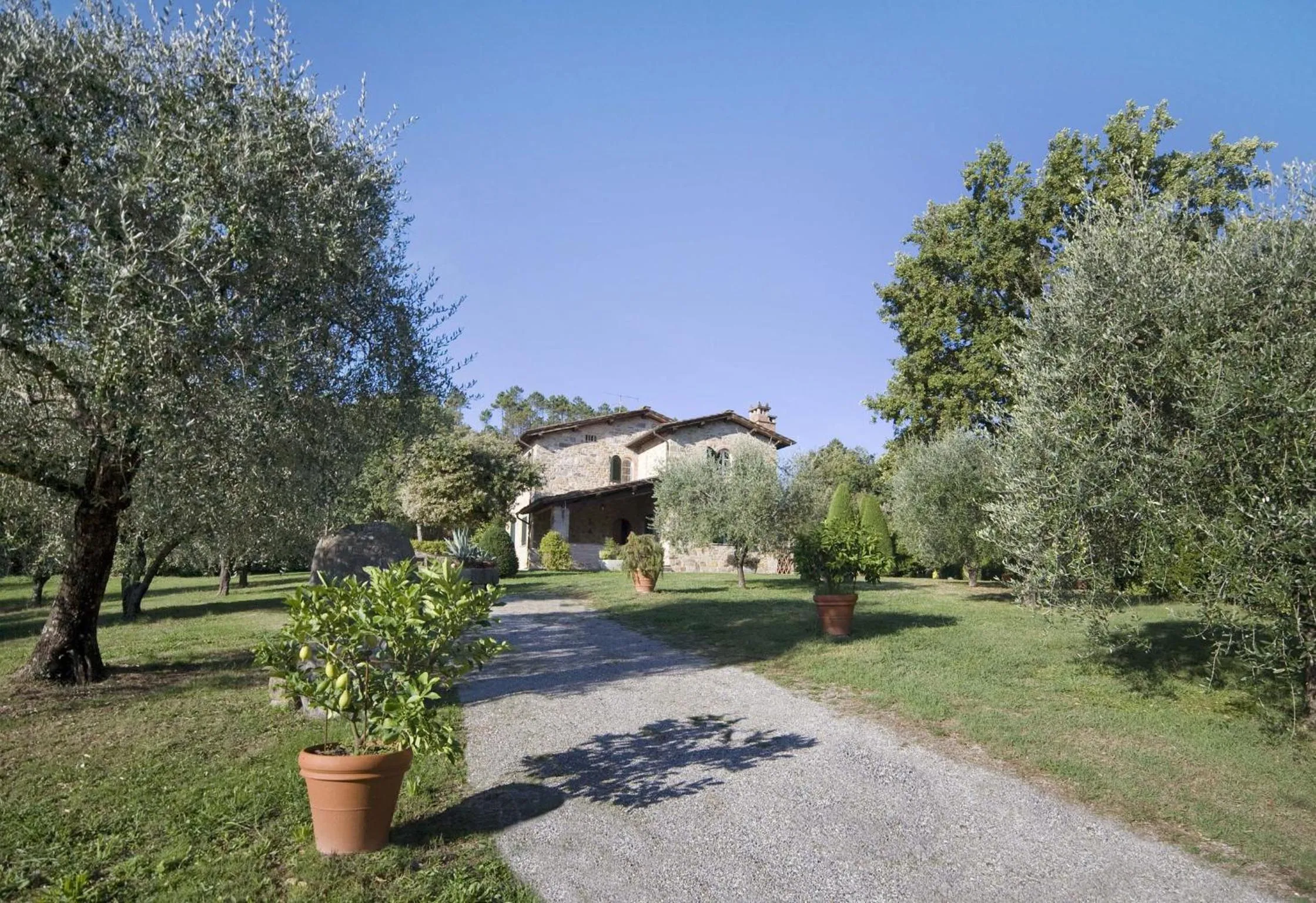 Property building in Broccolo by Salogi Villas