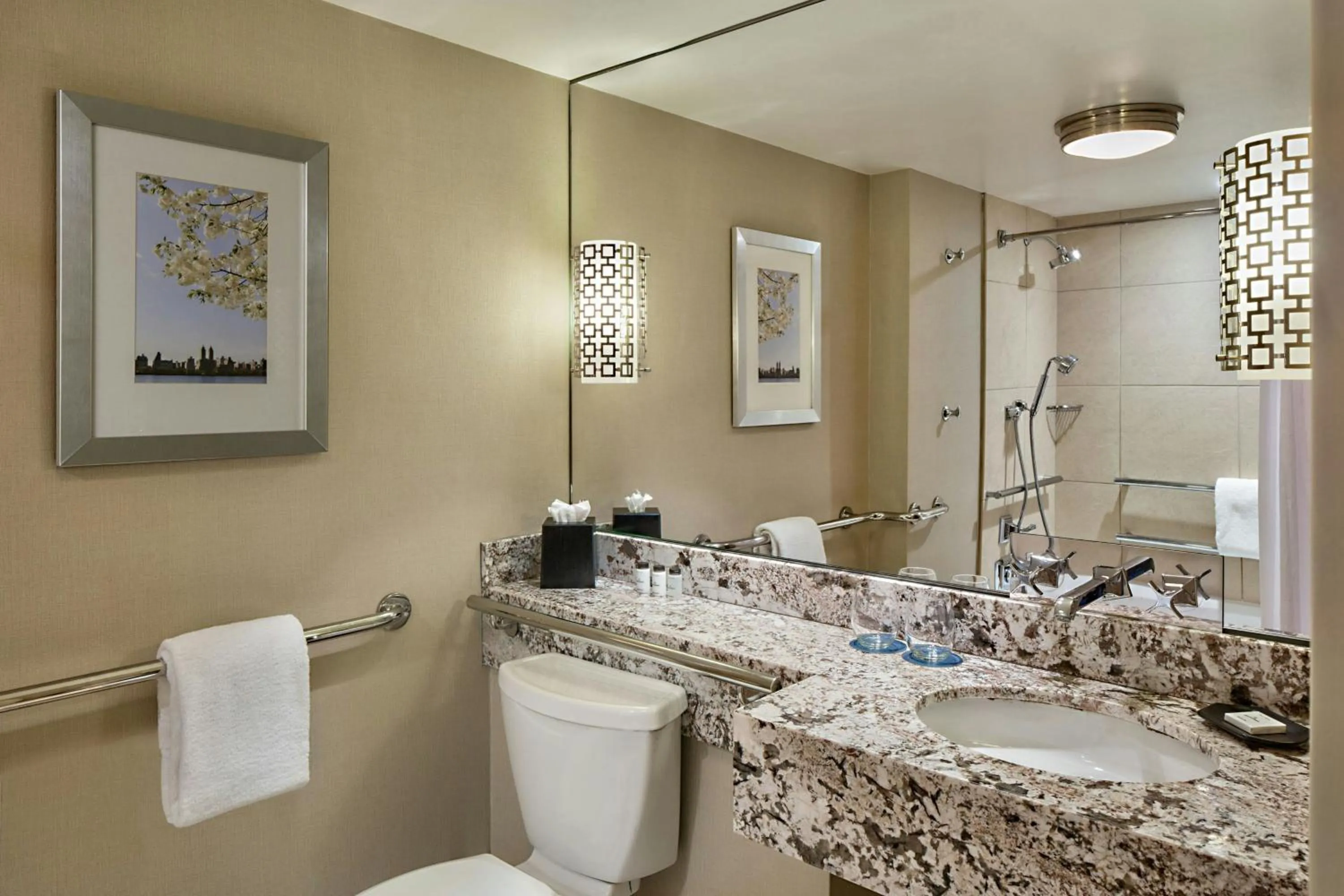 Bathroom in Sheraton New York Times Square Hotel