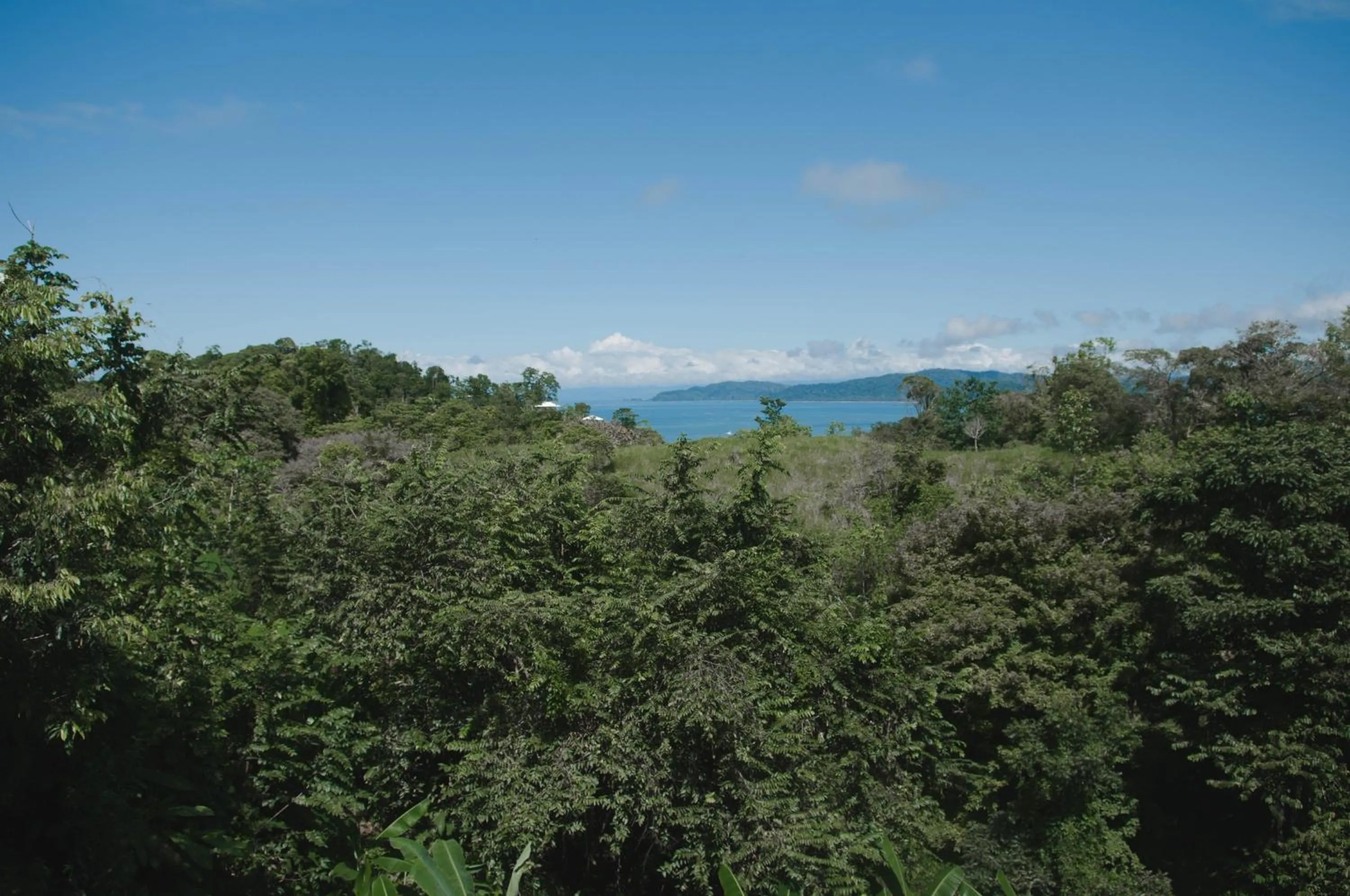 Property building in Drake Bay Greenleaf