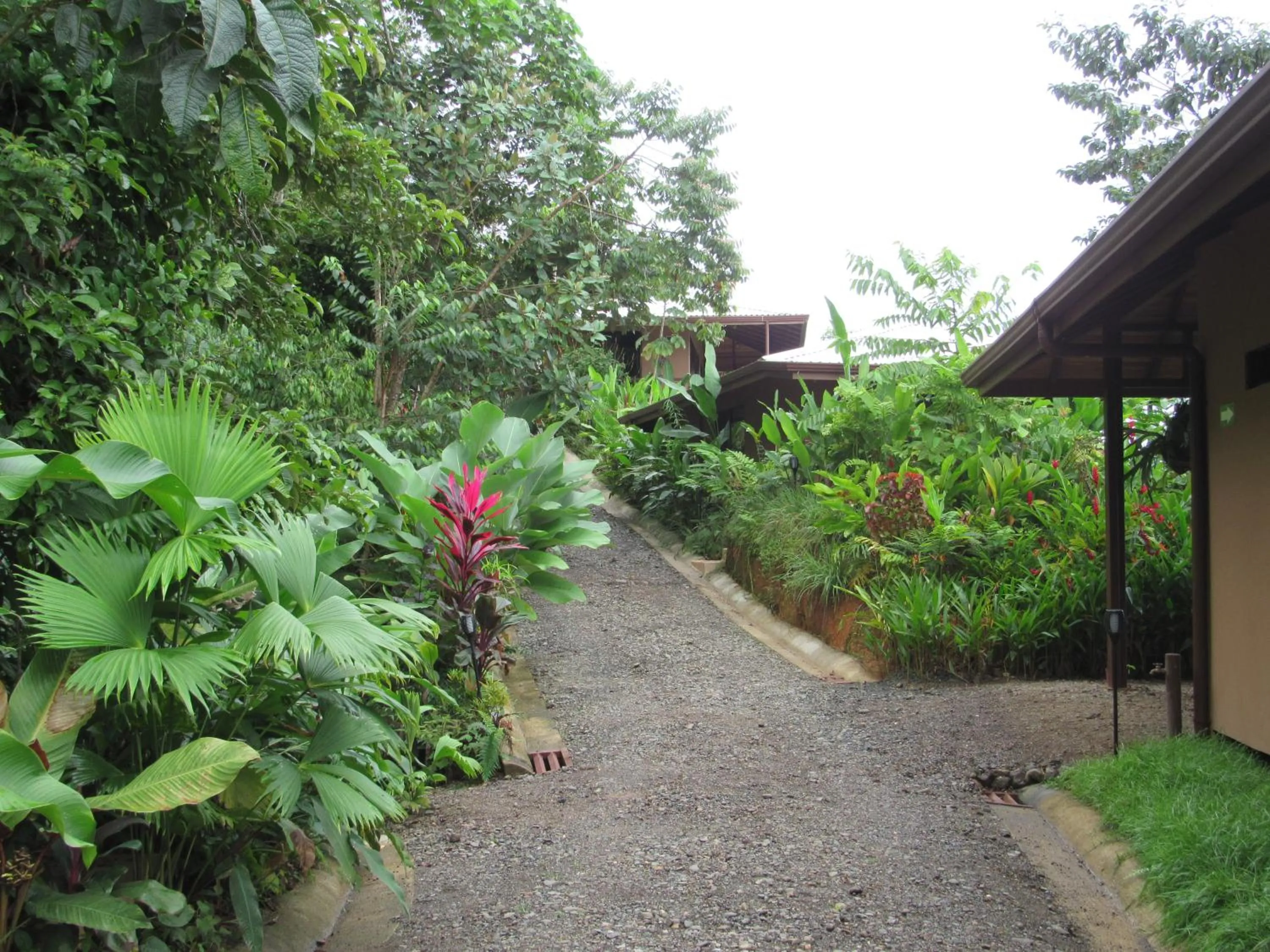Garden view in Drake Bay Greenleaf