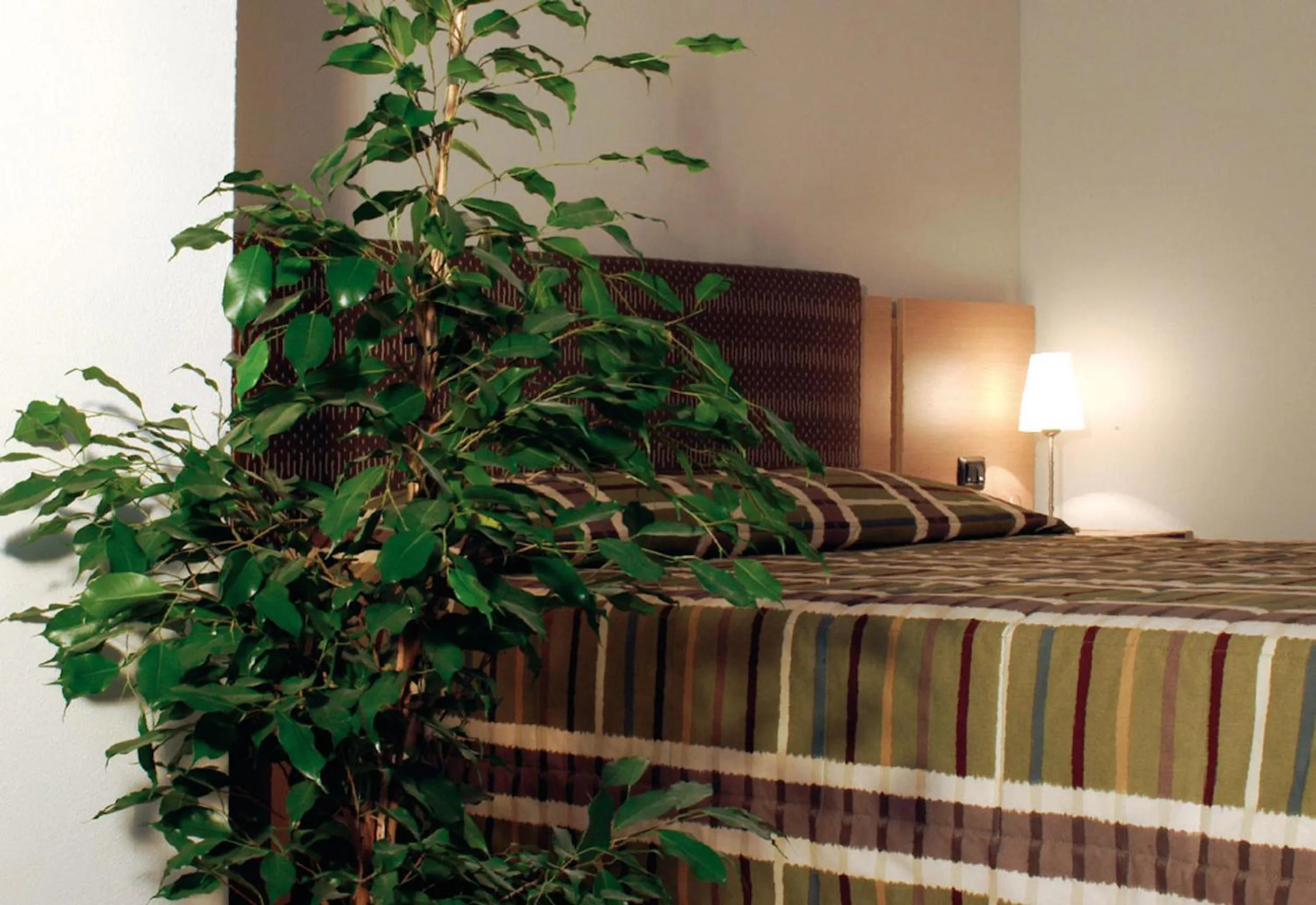 Bedroom, Bed in Hotel Santo Stefano