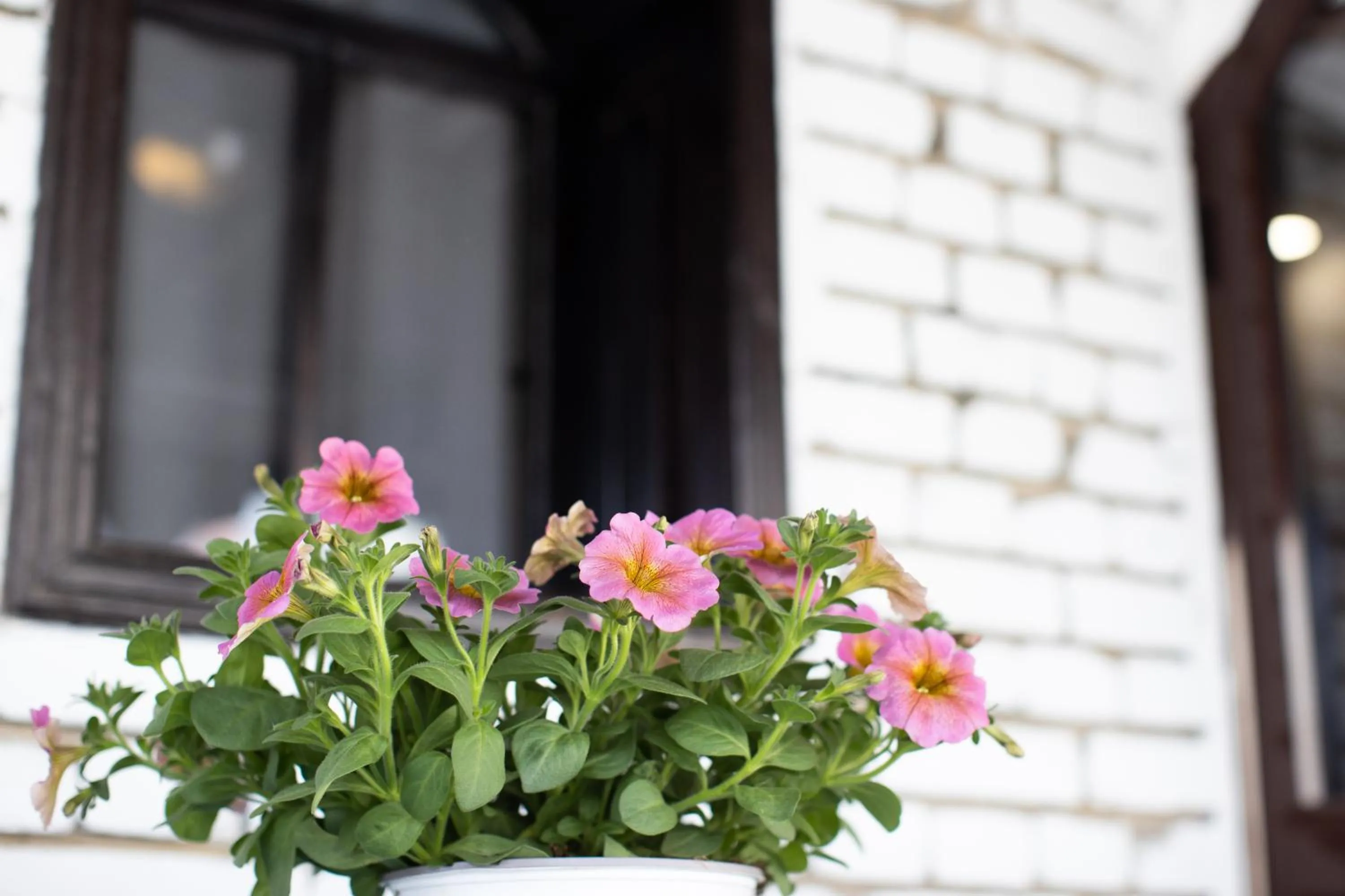 Spring in VILA SANREMO