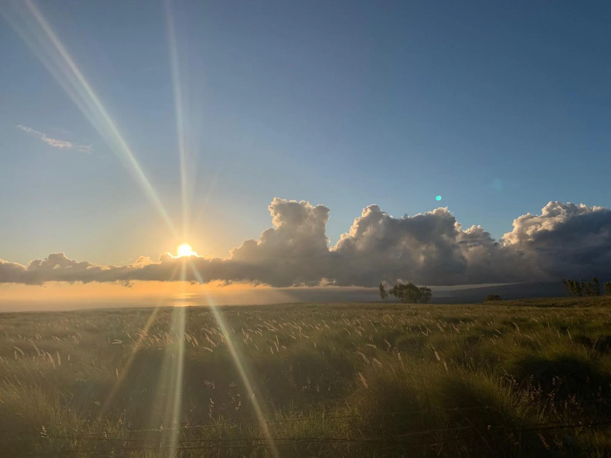Natural landscape in Unwind on Your Fantasy Hawaiian Vacation- 1BD/1BA Condo in Kailua-Kona, Hawaii