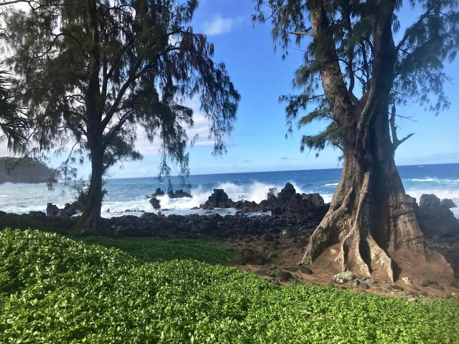 Natural landscape in Unwind on Your Fantasy Hawaiian Vacation- 1BD/1BA Condo in Kailua-Kona, Hawaii