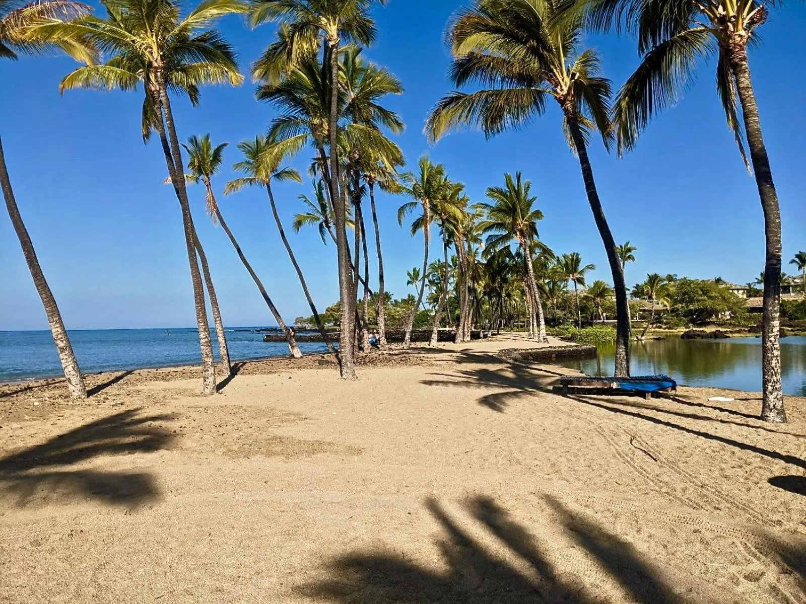 Snorkeling in Unwind on Your Fantasy Hawaiian Vacation- 1BD/1BA Condo in Kailua-Kona, Hawaii