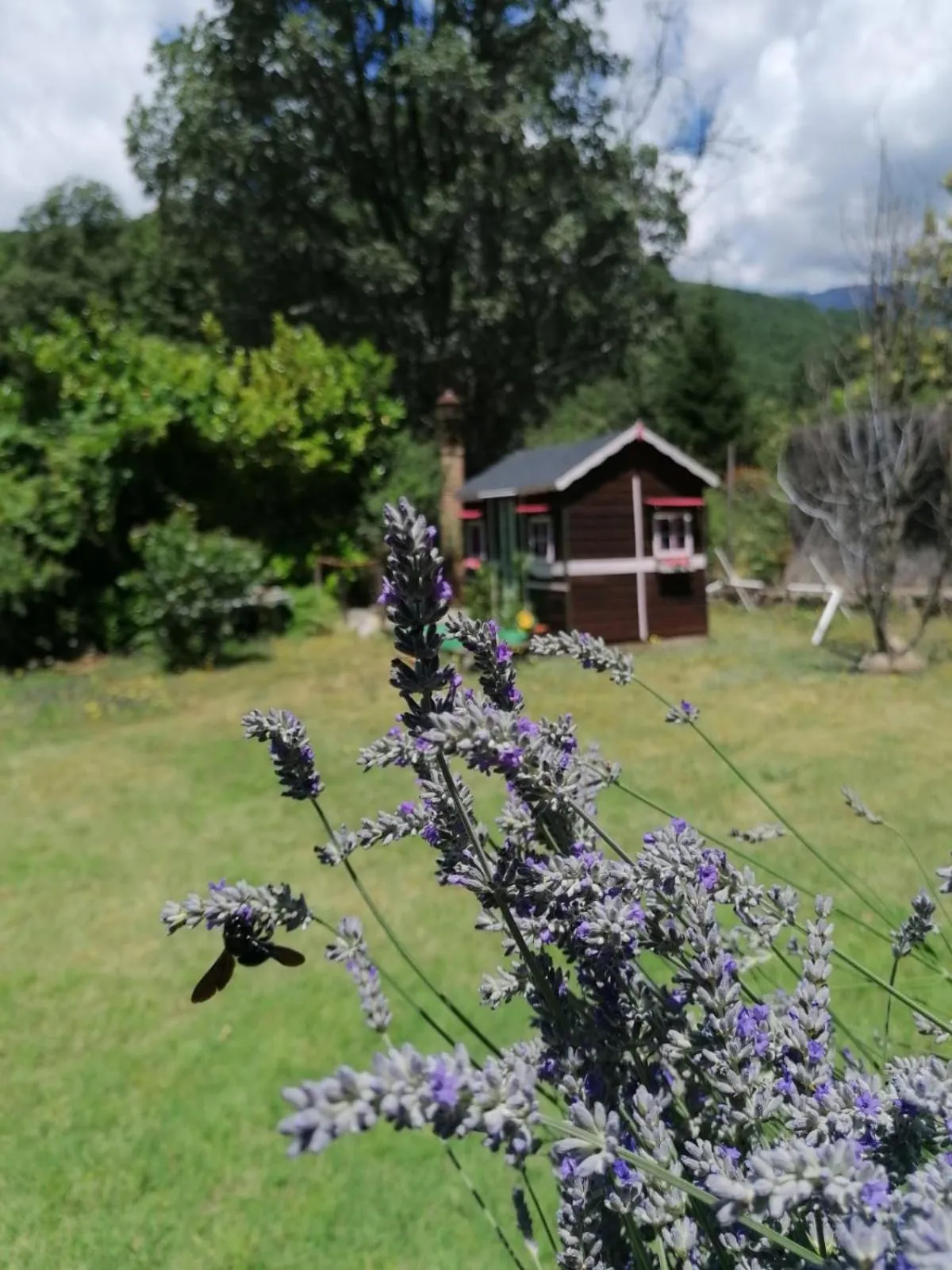 Hotel Rural El Marquesito Antigua Casa Carmela