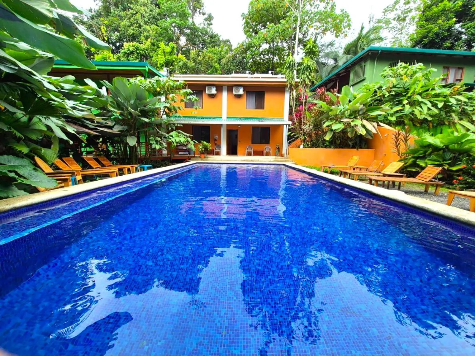 Garden in Corcovado & Drake Inn