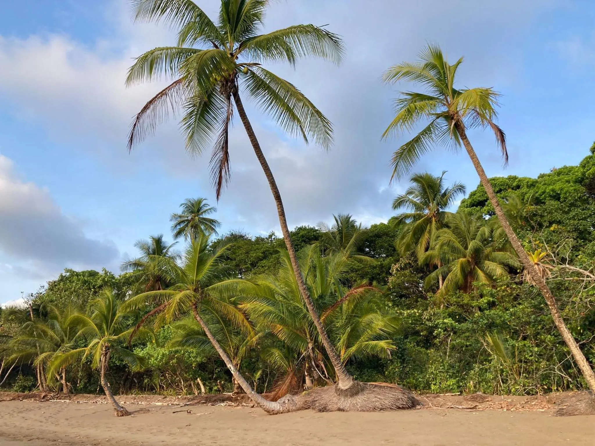 Natural landscape in Corcovado & Drake Inn