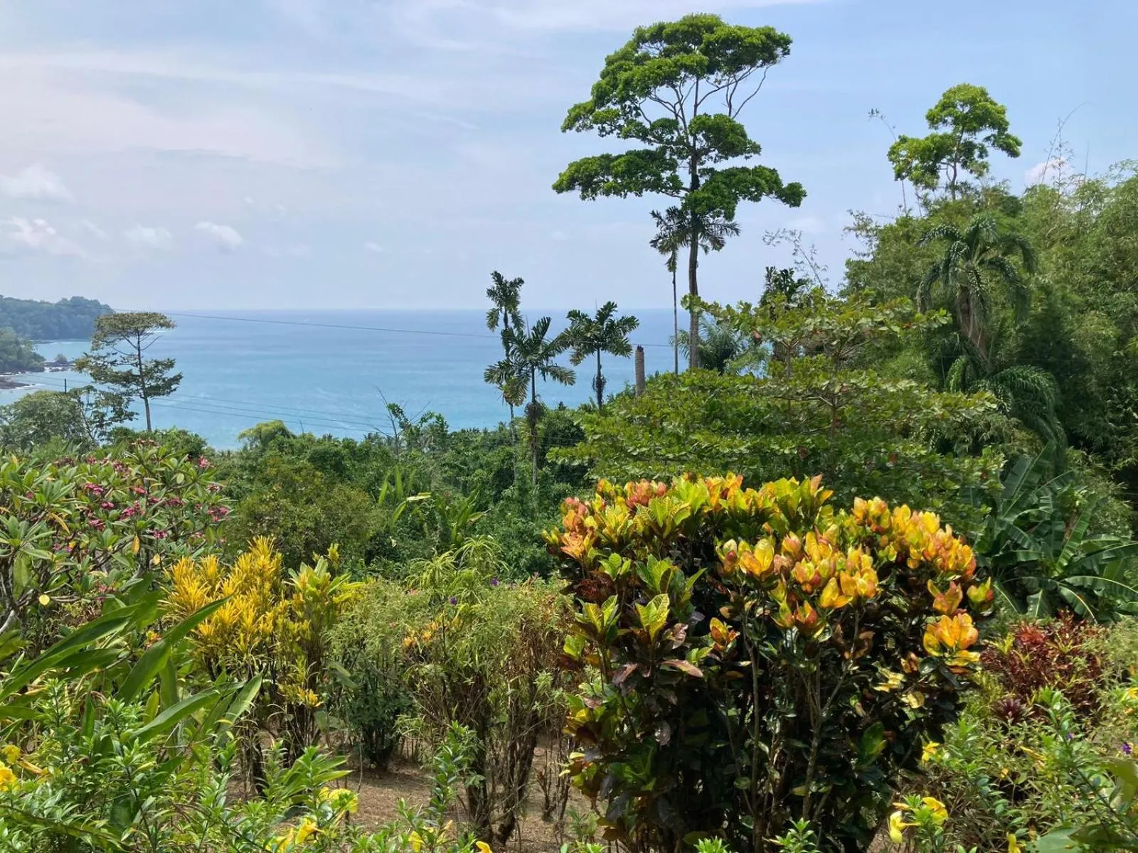 Nearby landmark in Corcovado & Drake Inn