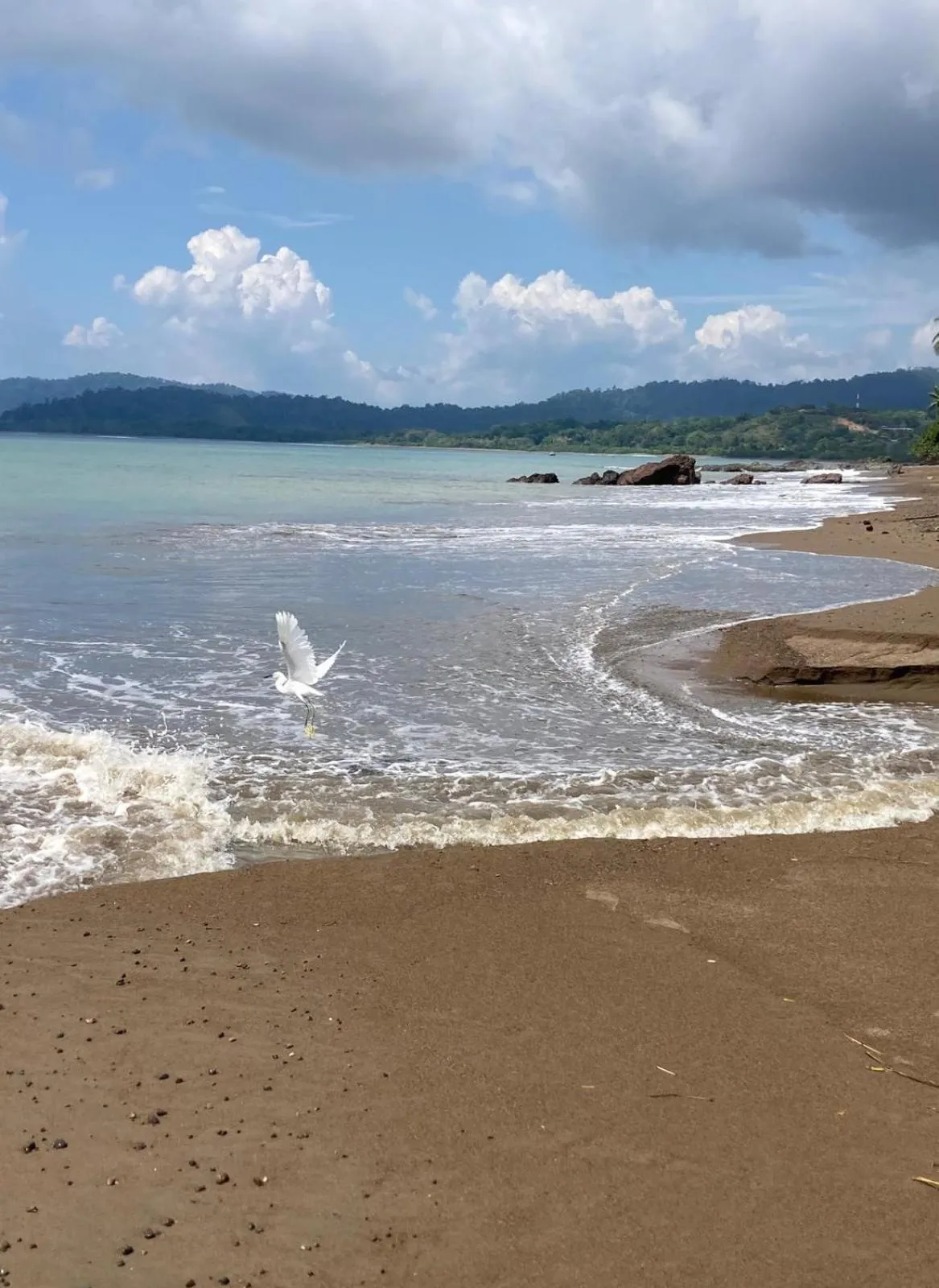 Beach in Corcovado & Drake Inn