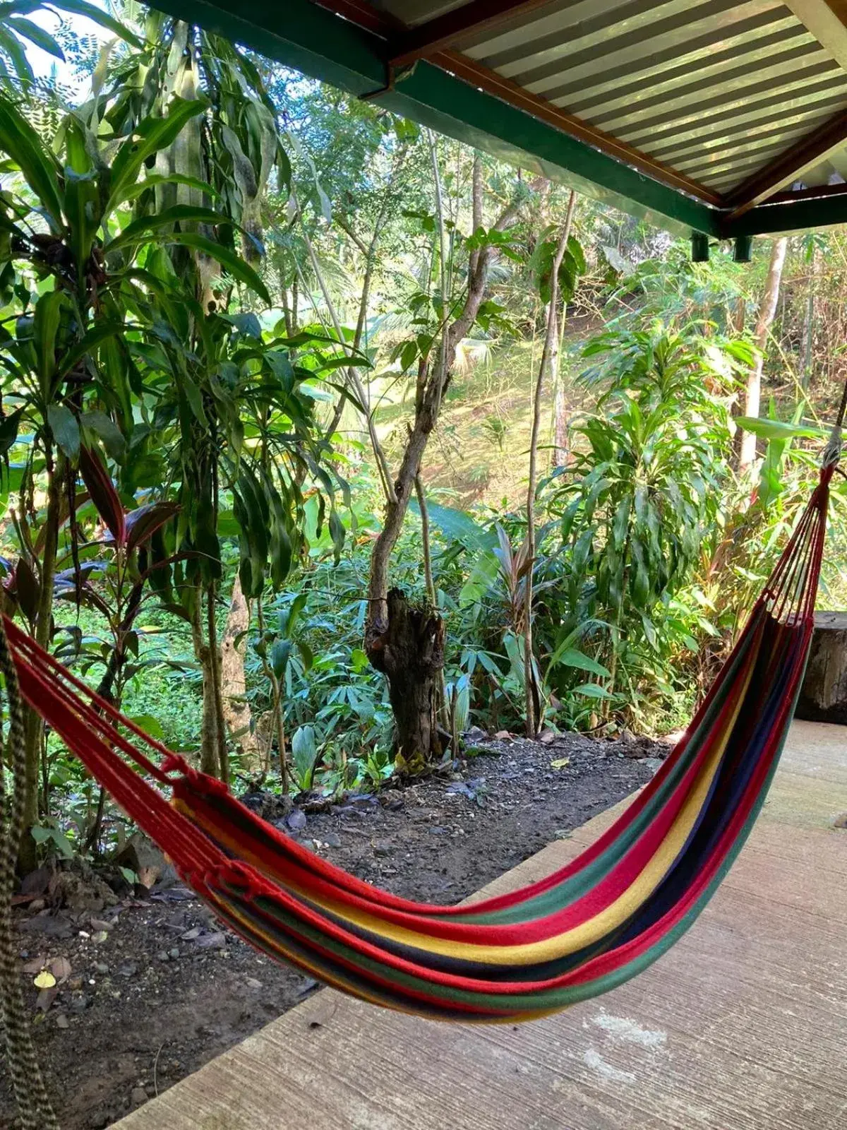 One-Bedroom Apartment in Corcovado & Drake Inn One-Bedroom Apartment in Corcovado & Drake Inn