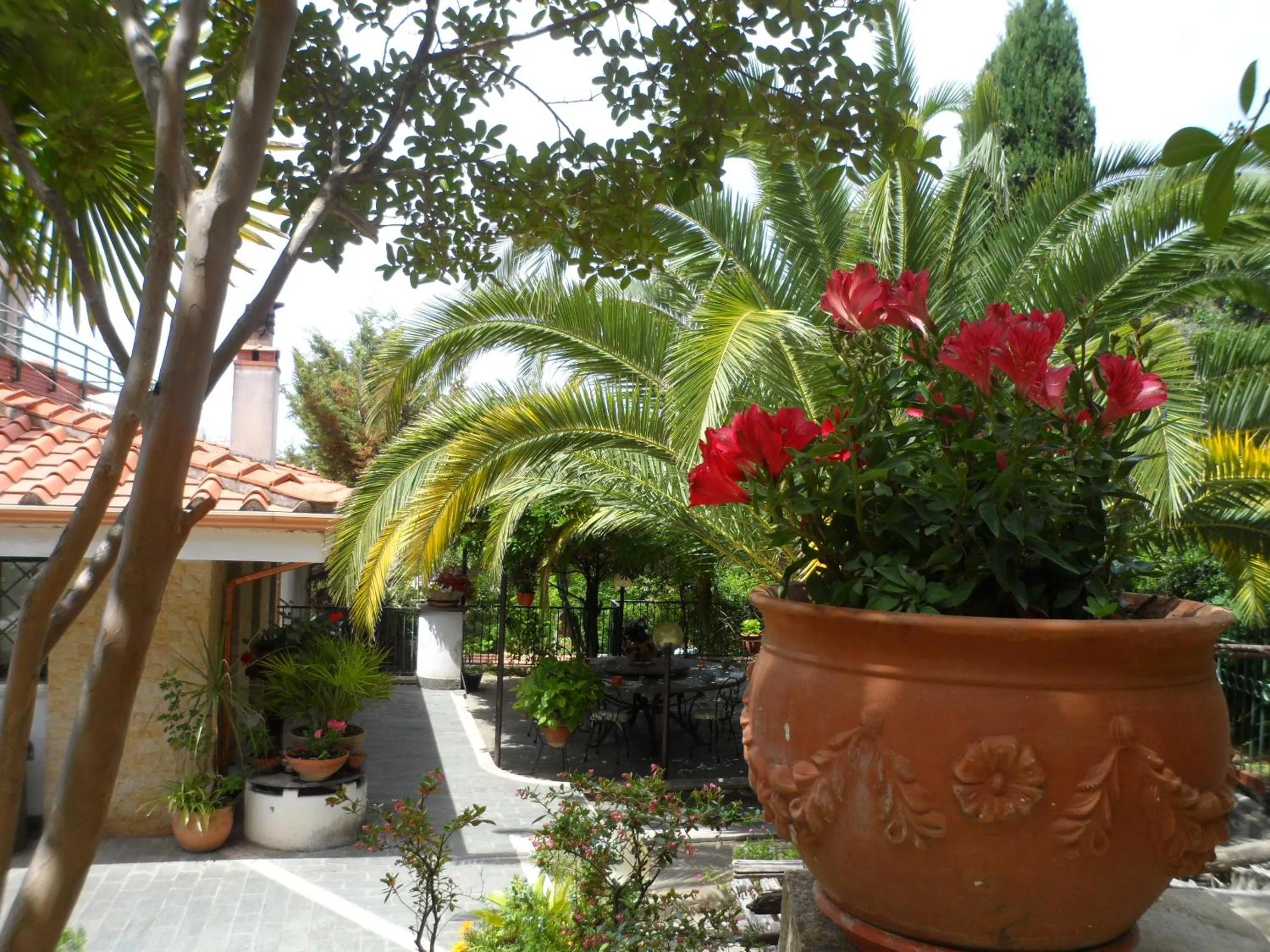 Garden in Bed and Breakfast El Dueño