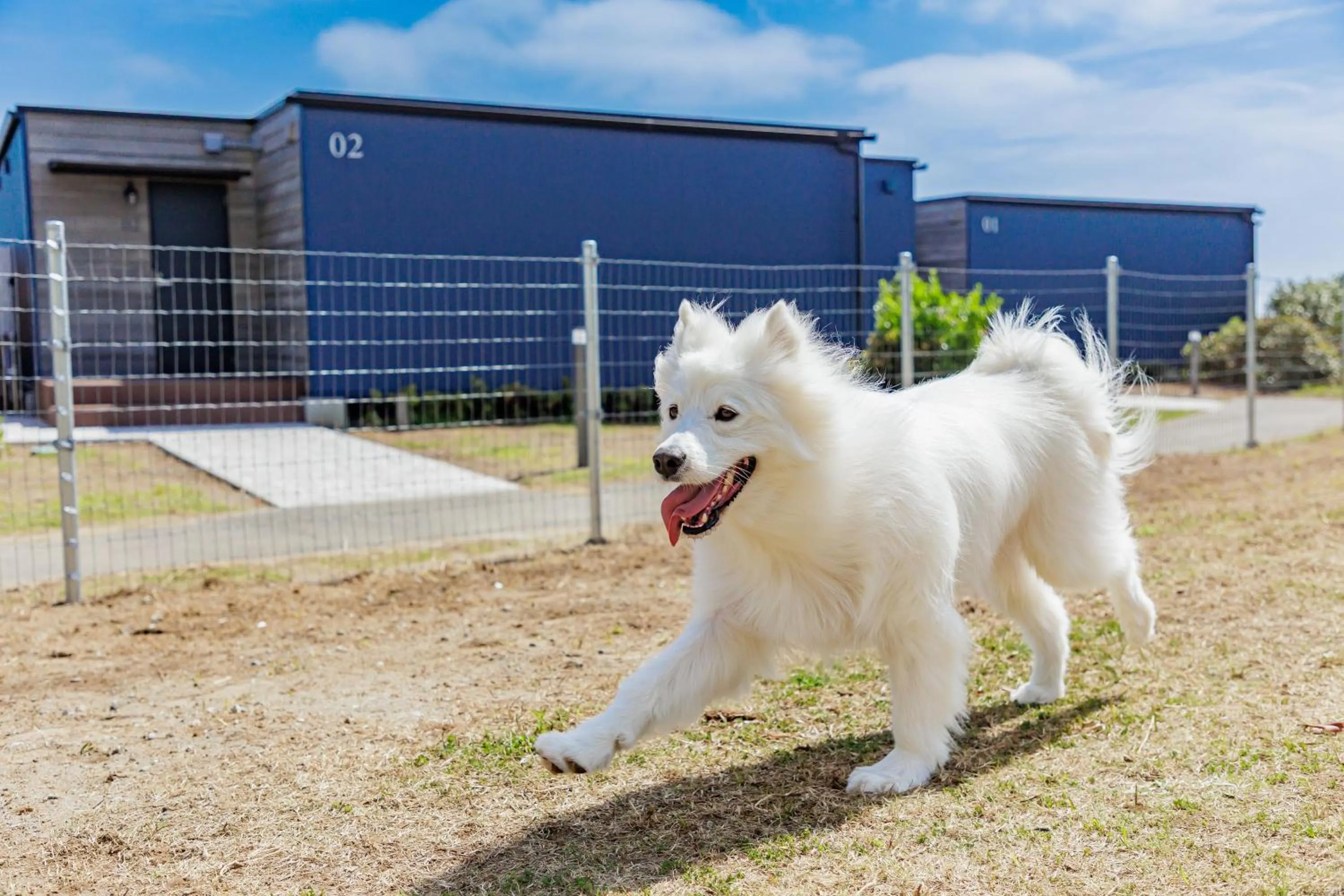 Pets in KAMENOI HOTEL Kujukuri