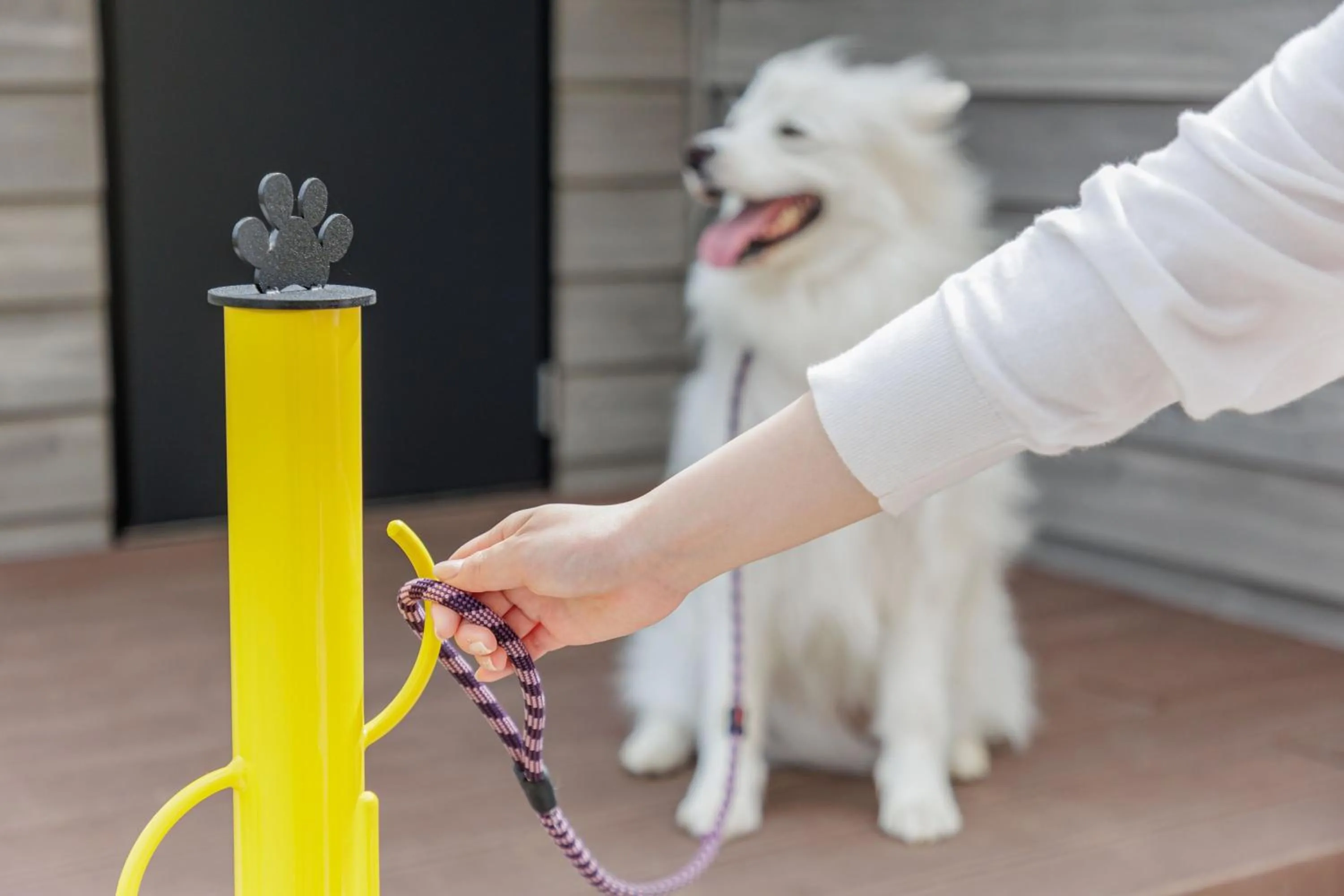 Pets in KAMENOI HOTEL Kujukuri